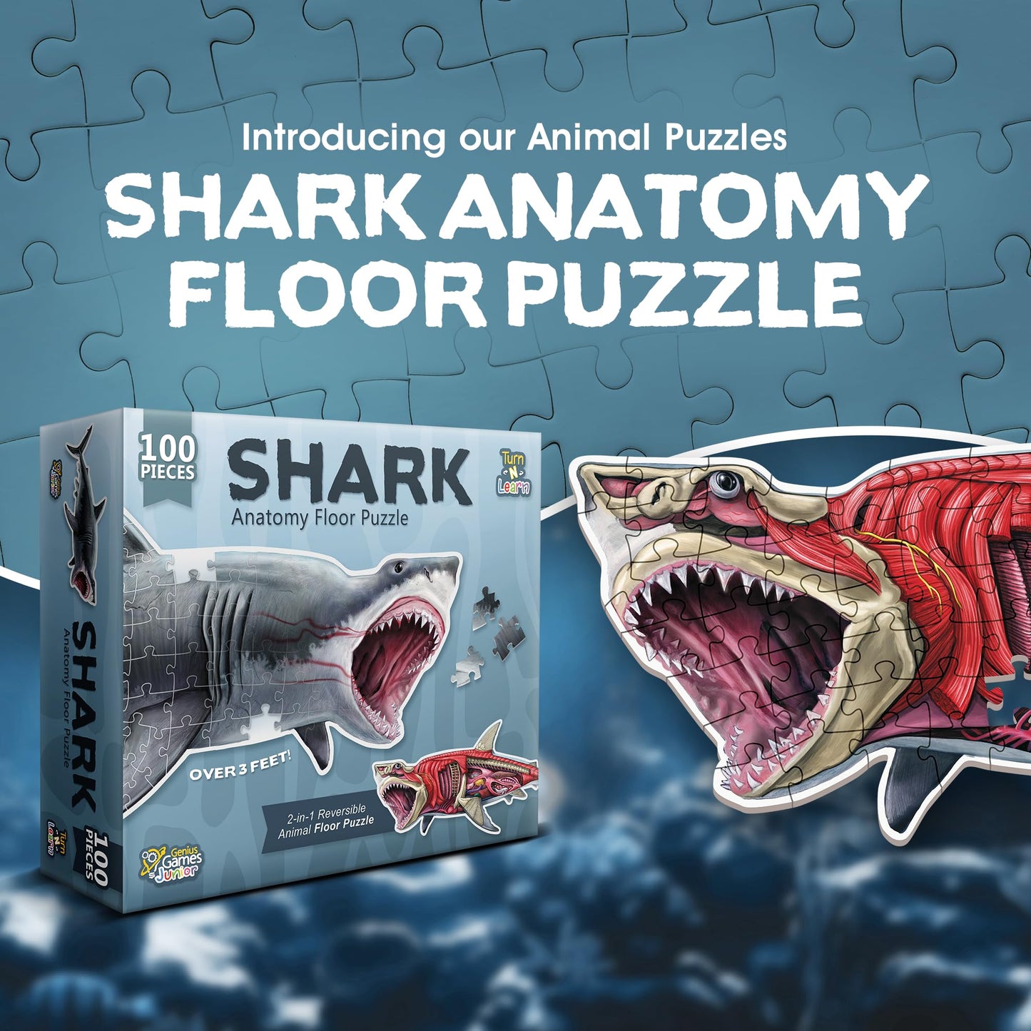 Shark Animal Anatomy Floor Puzzle by Genius Games – 100-Piece Double-Sided Jigsaw for Ages 4-10