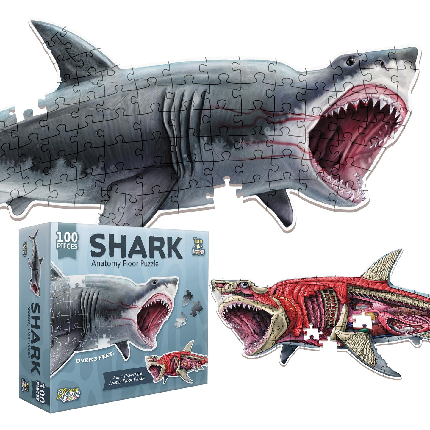Shark Animal Anatomy Floor Puzzle by Genius Games – 100-Piece Double-Sided Jigsaw for Ages 4-10