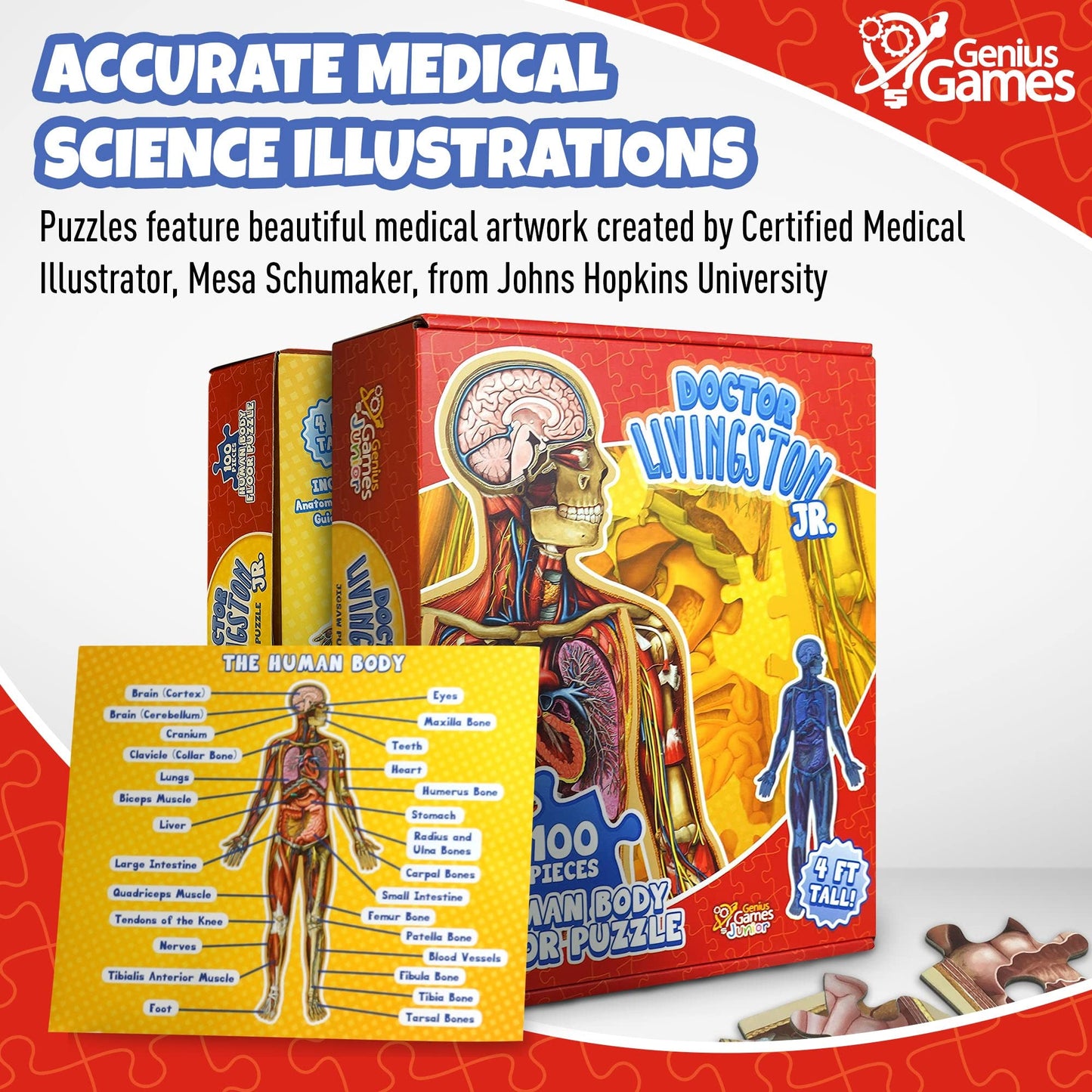 Genius Games Dr Livingston Jr Human Anatomy Floor Puzzle – 100-Piece, 4 ft