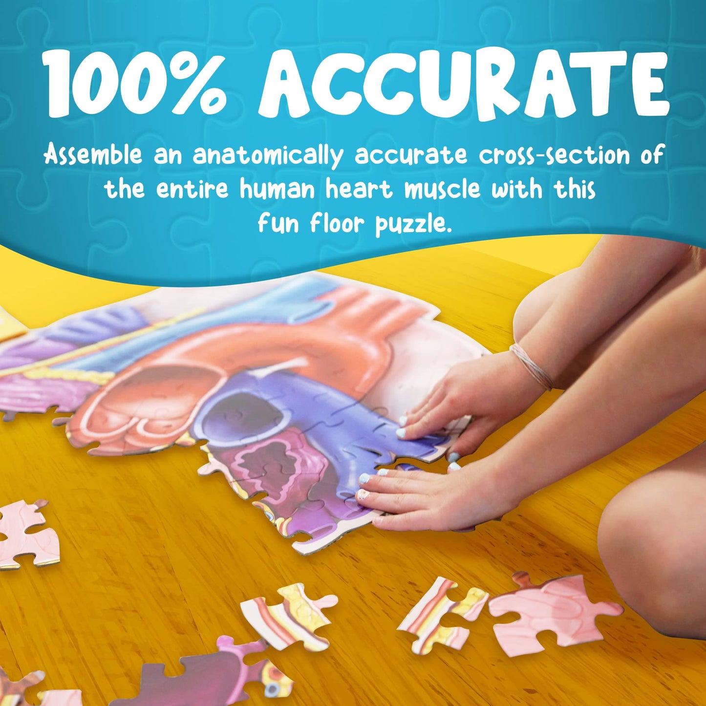 Genius Games Human Heart Anatomy Floor Puzzle — 100-Piece Jigsaw for Kids & Teens | Dr Livingston Jr