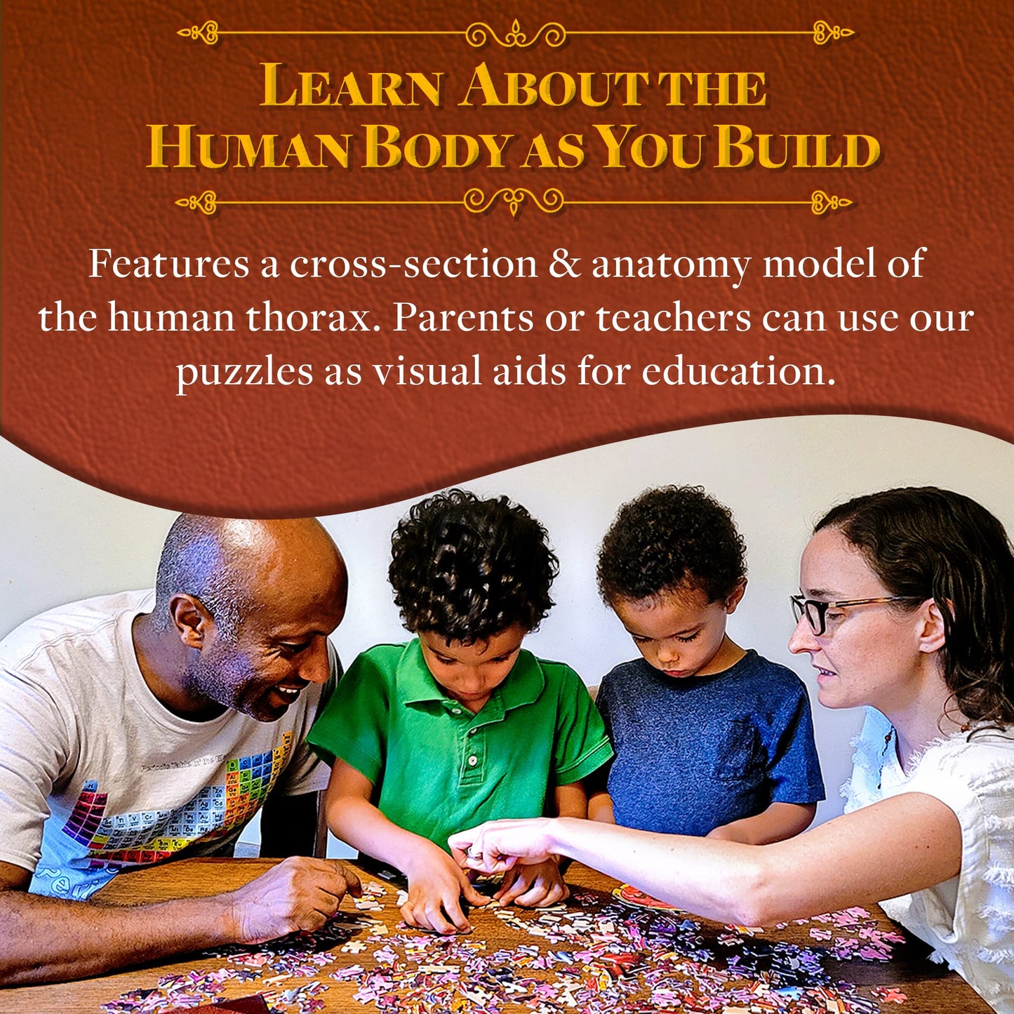 Genius Games Human Thorax Anatomy Puzzle – 411-Piece Floor Puzzle