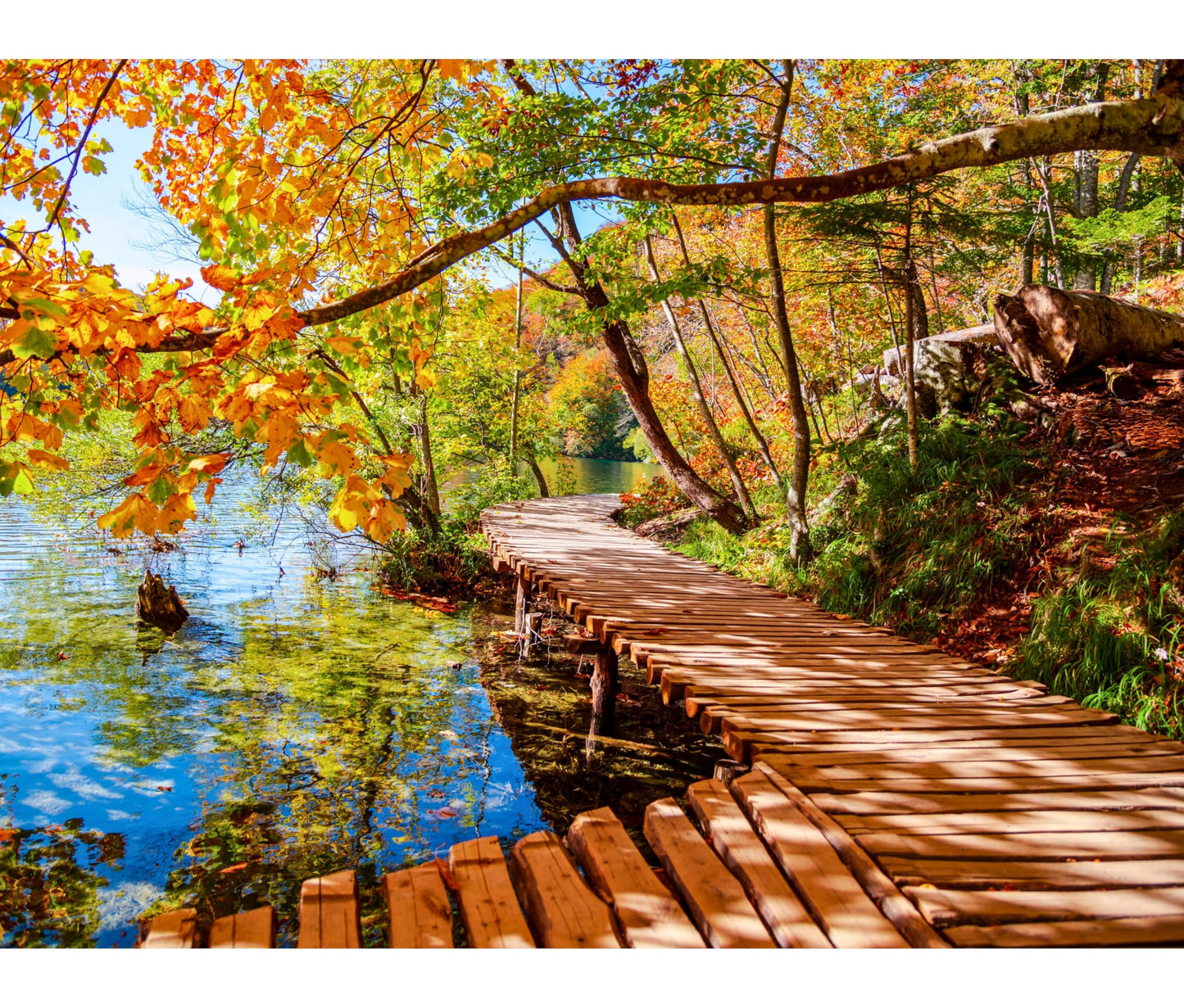 Gerjato 1000-Piece Puzzle: Golden Forest Trail by Quiet Lake in Autumn | Gift-Ready Box