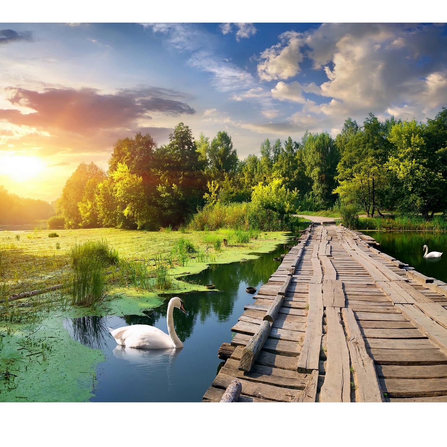 Gerjato 1000-Piece Puzzle: Golden Hour Lake with Bridge & Swans – Gift-Ready Box