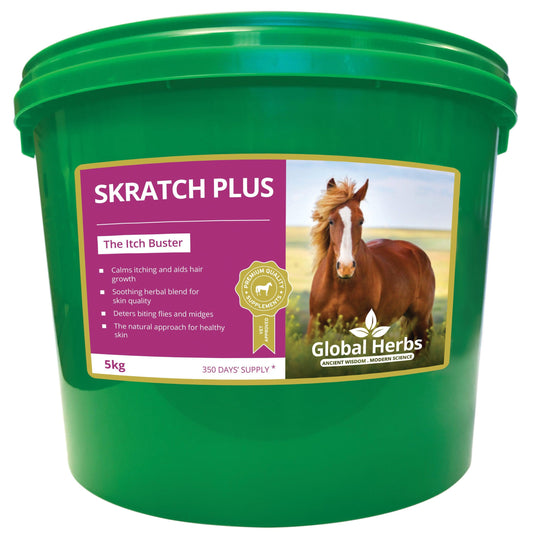 Global H Skratch Plus