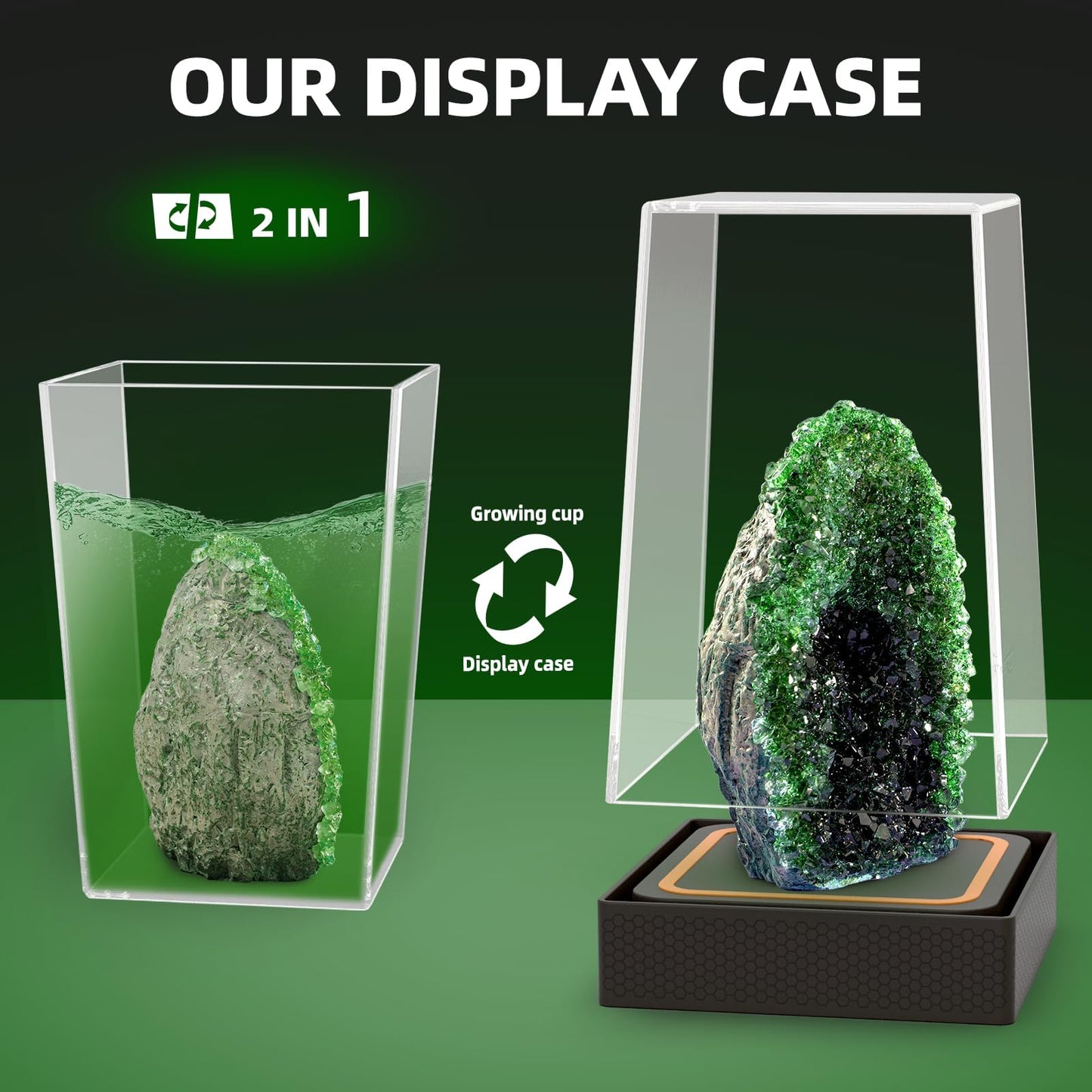 GobiDex Geodes Crystal Growing Kit for Kids – 24-Hour Growth, STEM Toy & Display Case