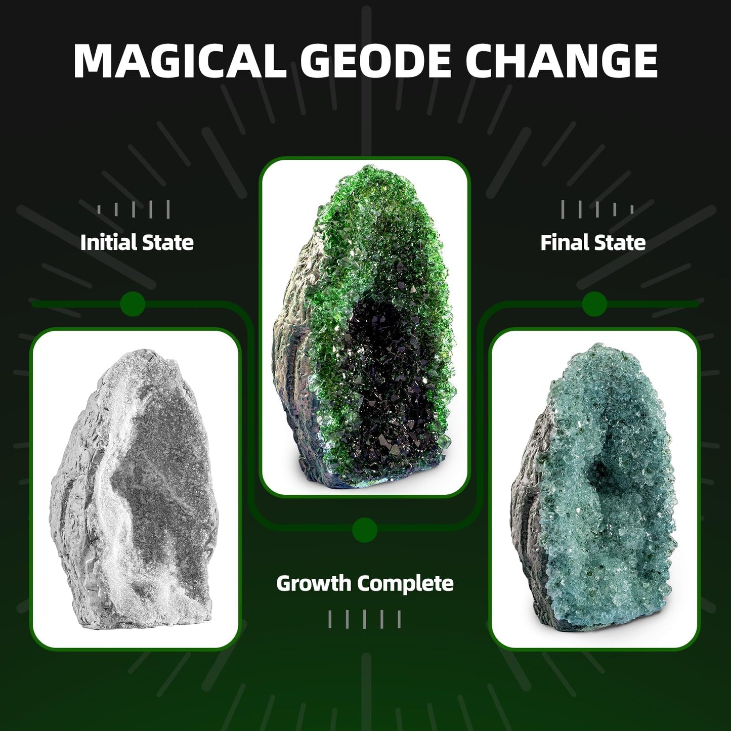 GobiDex Geodes Crystal Growing Kit for Kids – 24-Hour Growth, STEM Toy & Display Case