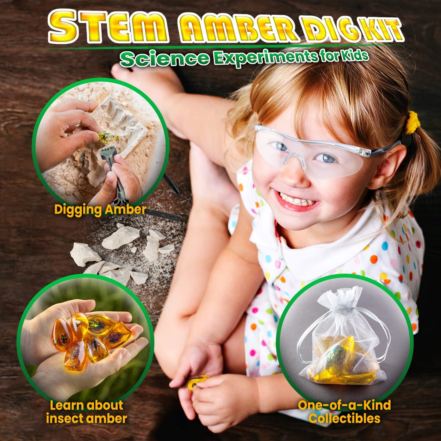 GobiDex Amber Dig Kit – Excavation STEM Toy with 6 Insect Specimens