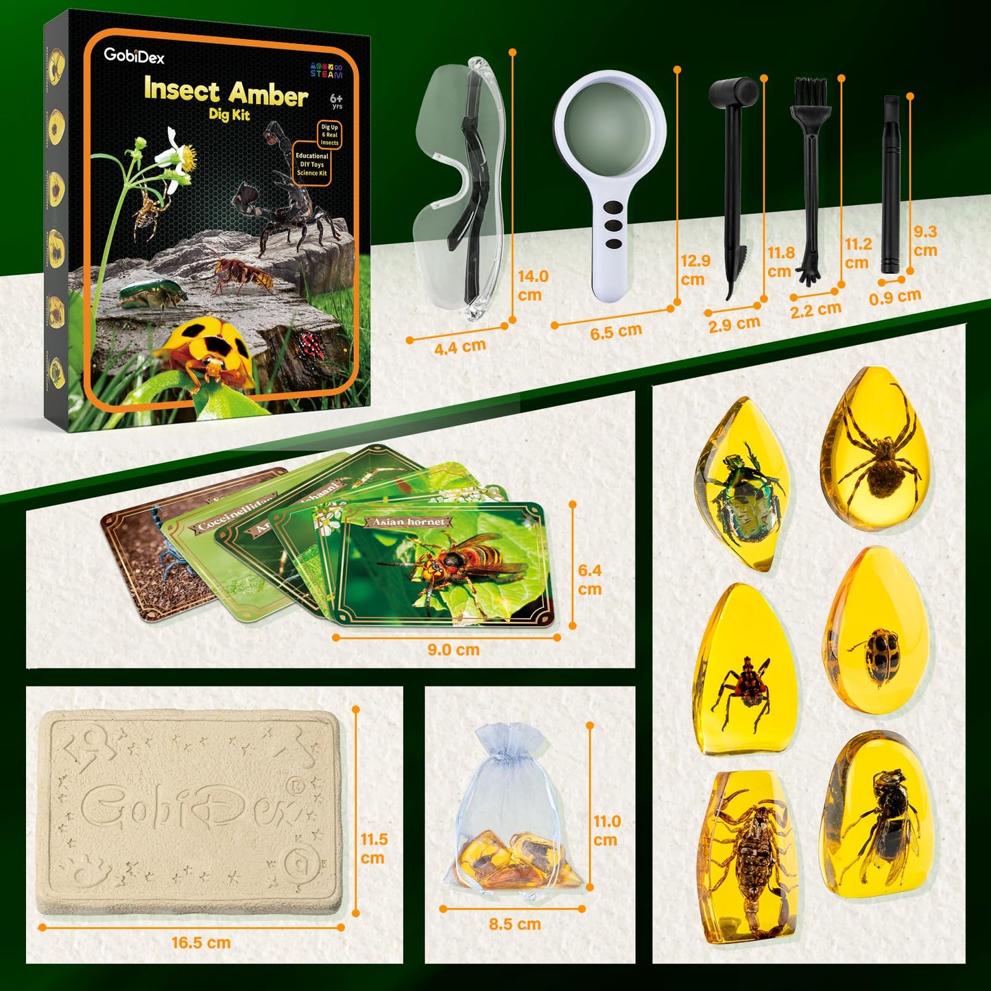GobiDex Amber Dig Kit – Excavation STEM Toy with 6 Insect Specimens