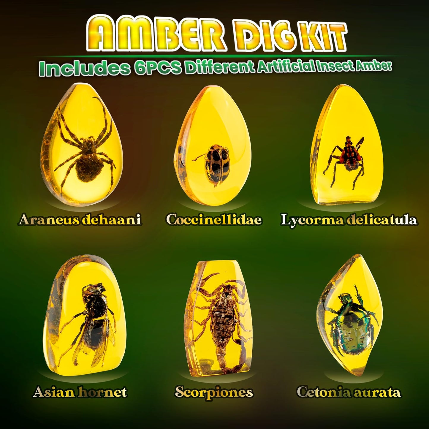 GobiDex Amber Dig Kit – Excavation STEM Toy with 6 Insect Specimens