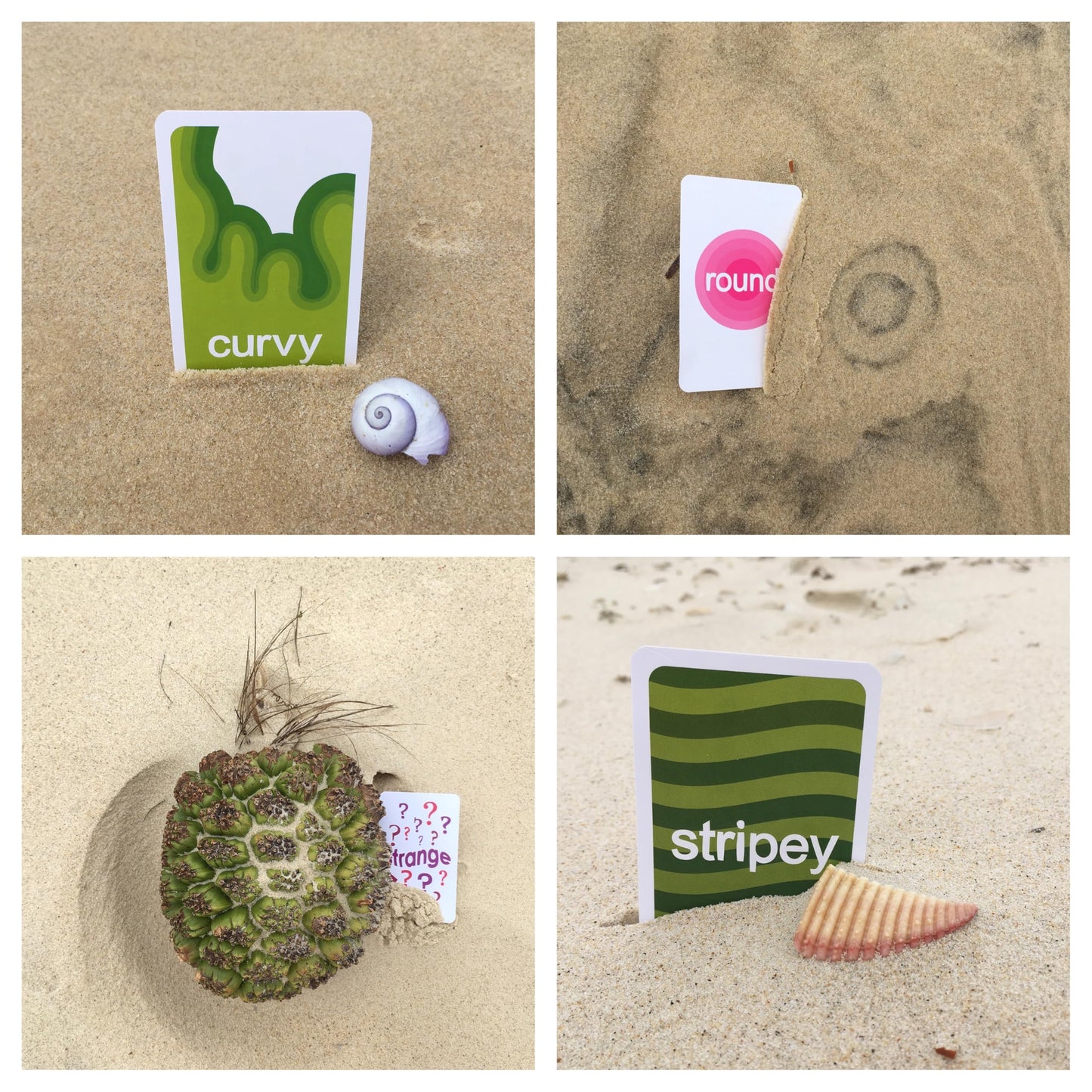 gofindit Scavenger Hunt Card Game – Outdoor Family Fun for Kids 3-6+ | Beach, Camp, Travel