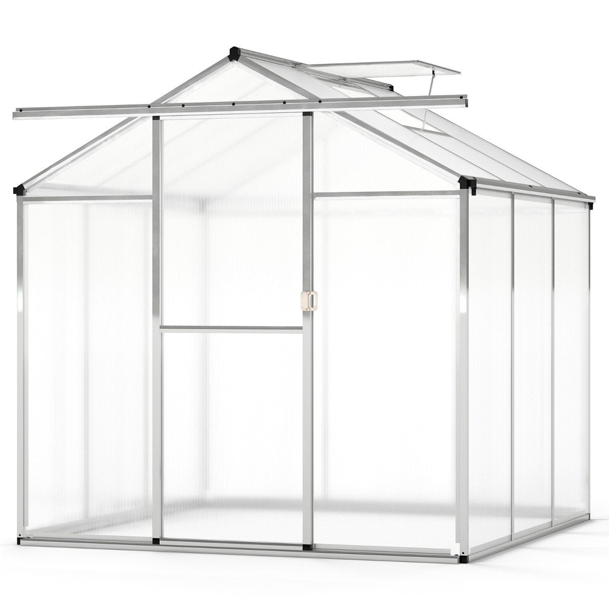185 x 185 cm/244 x 185 cm Greenhouse Large Walk-in Green House-M