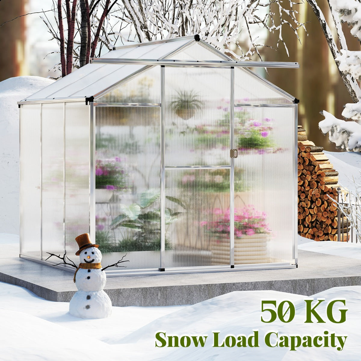 185 x 185 cm/244 x 185 cm Greenhouse Large Walk-in Green House-M