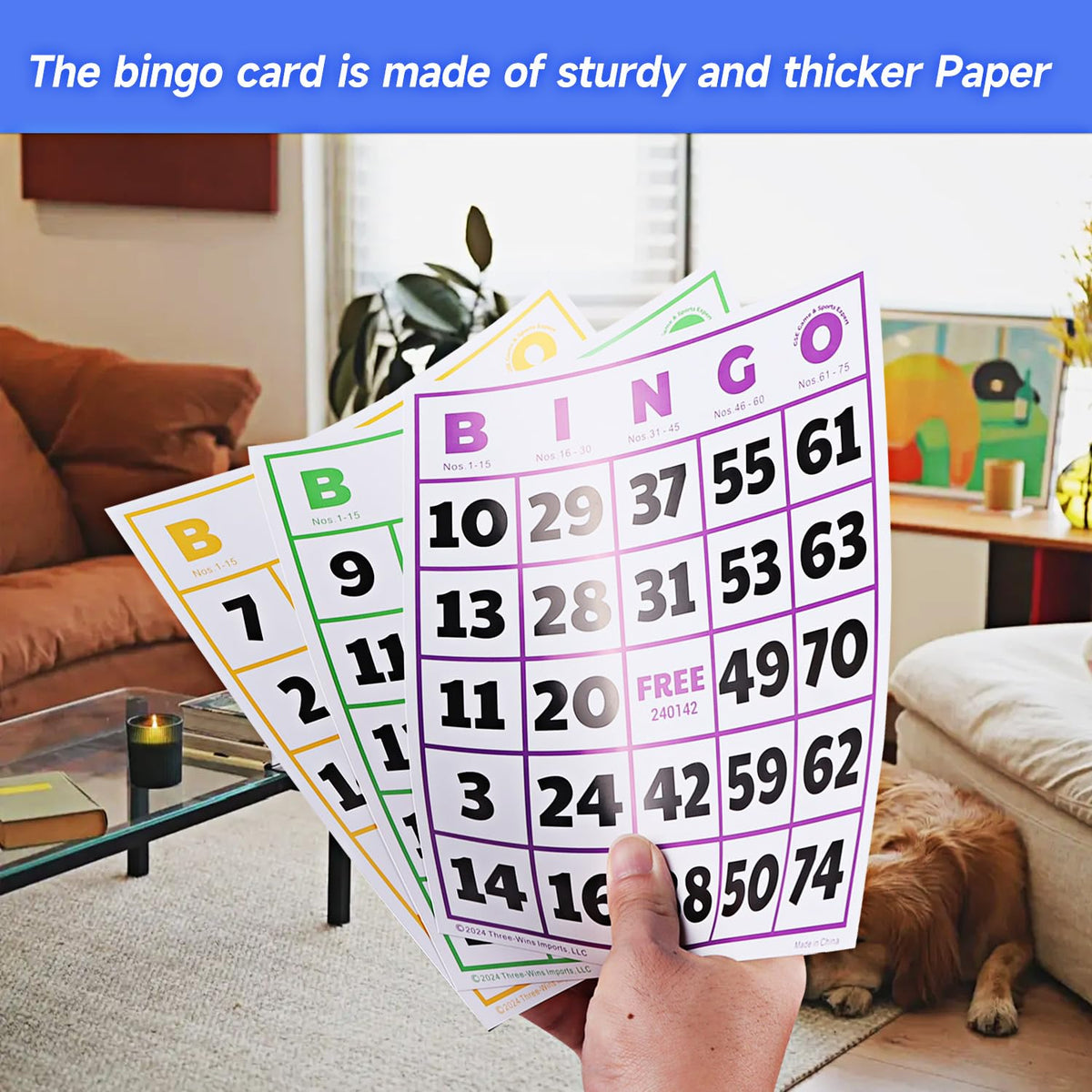 GSE Games & Sports Expert 50-Pack Jumbo Multi-Color Bingo Cards – Large Font, Reusable for Large Groups