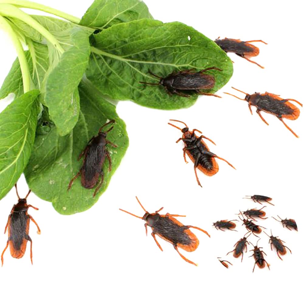 GUDVES Prank Roaches – Realistic 10-Piece Plastic Cockroach Toys for Pranks