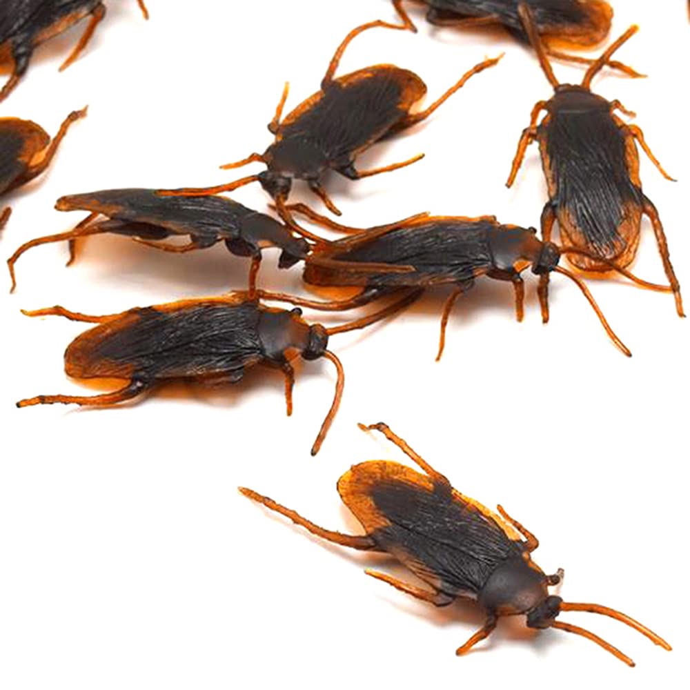 GUDVES Prank Roaches – Realistic 10-Piece Plastic Cockroach Toys for Pranks