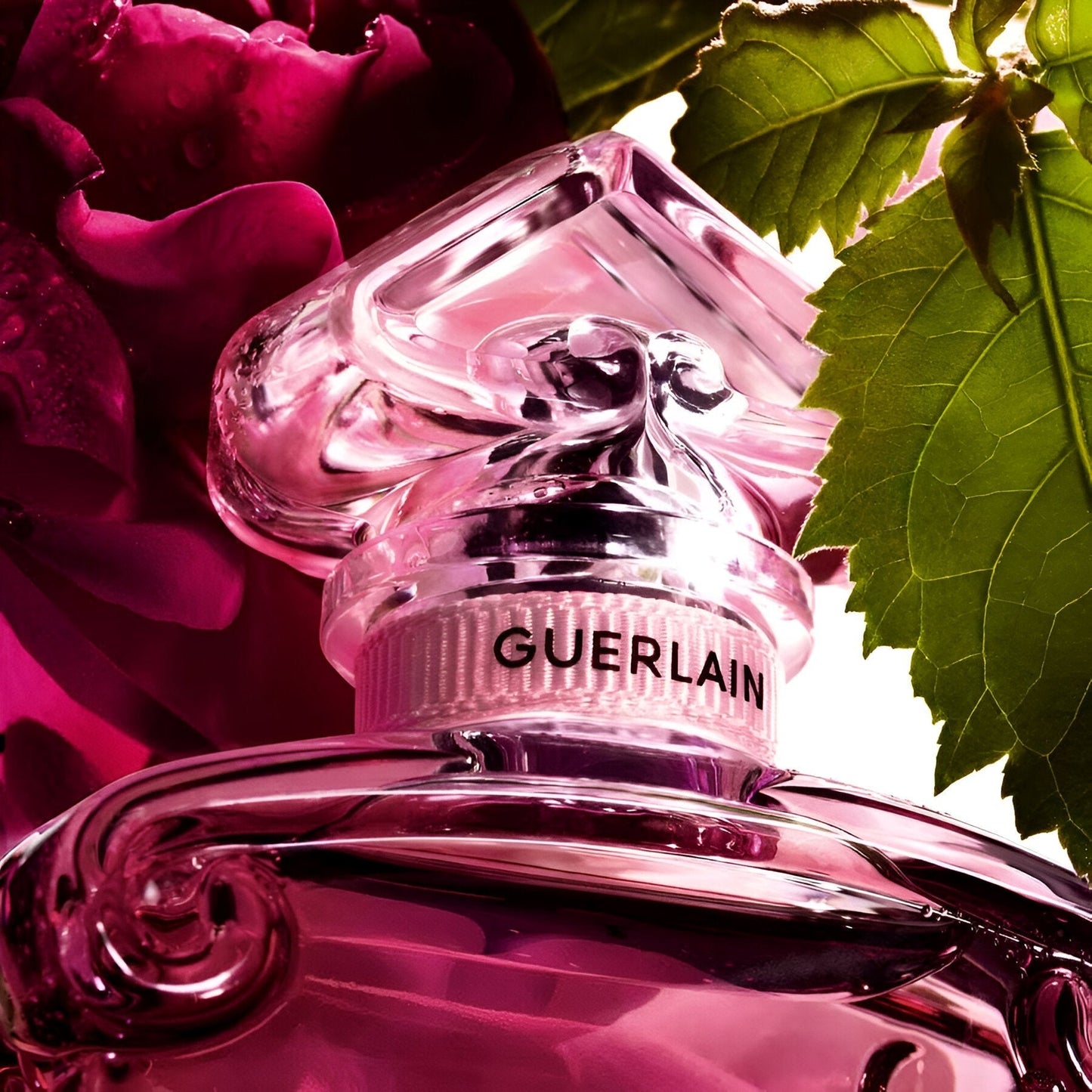 Guerlain La Petite Robe Noire Eau de Parfum Absolue 50ml Spray