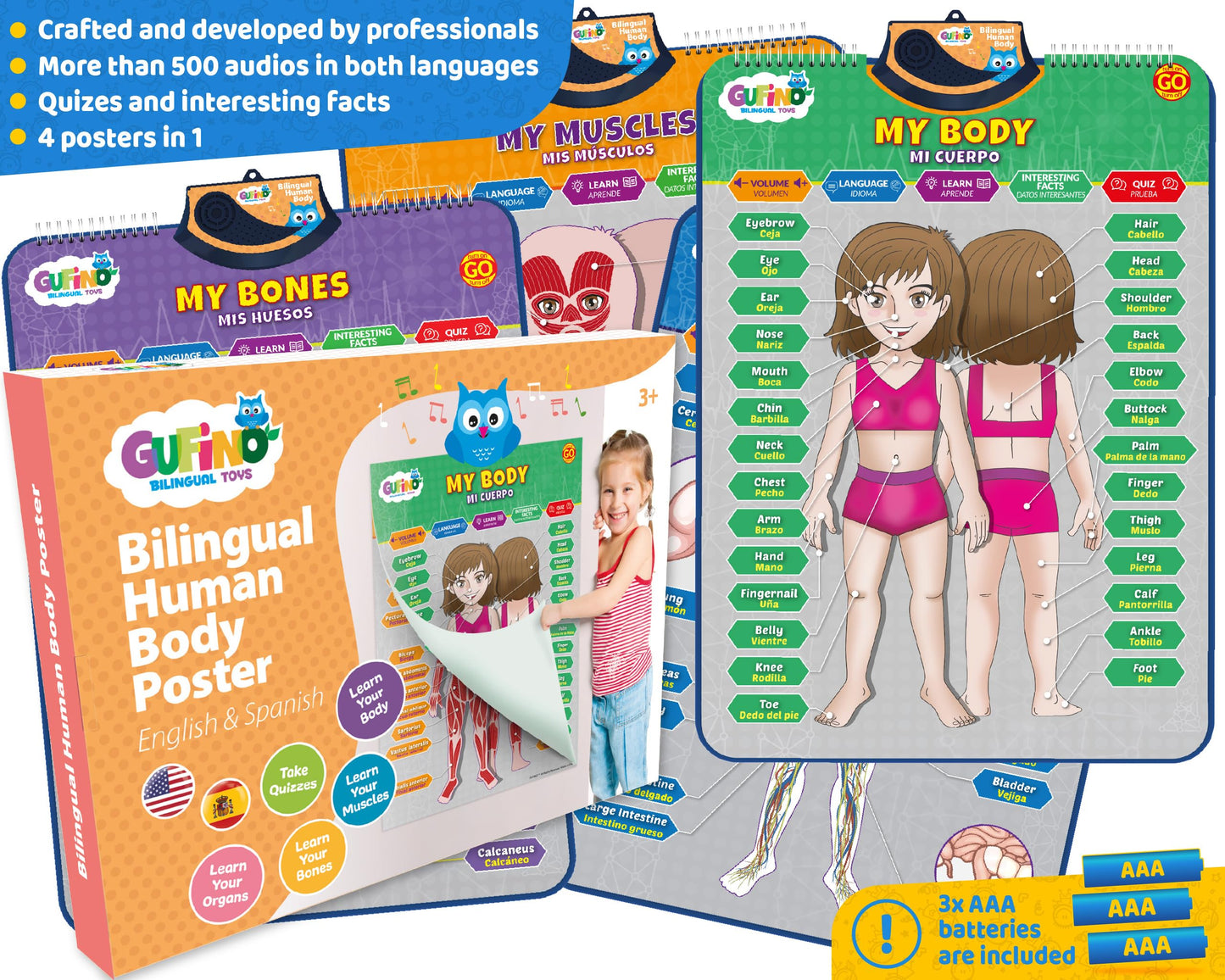 GUFINO Bilingual Human Body Model for Kids – Interactive Anatomy Poster with Games & Quizzes