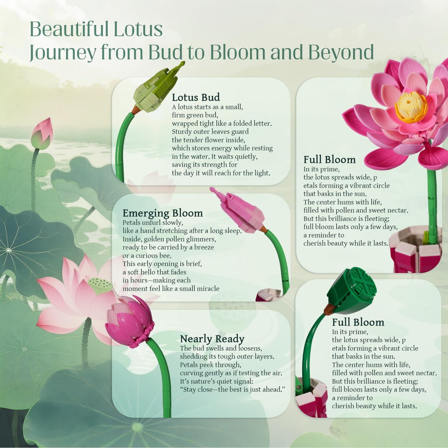 GXJTYYBS Ideas Lotus Flowers Botanical Building Set - 710-Piece Lego-Compatible MOC for Home & Office Decor