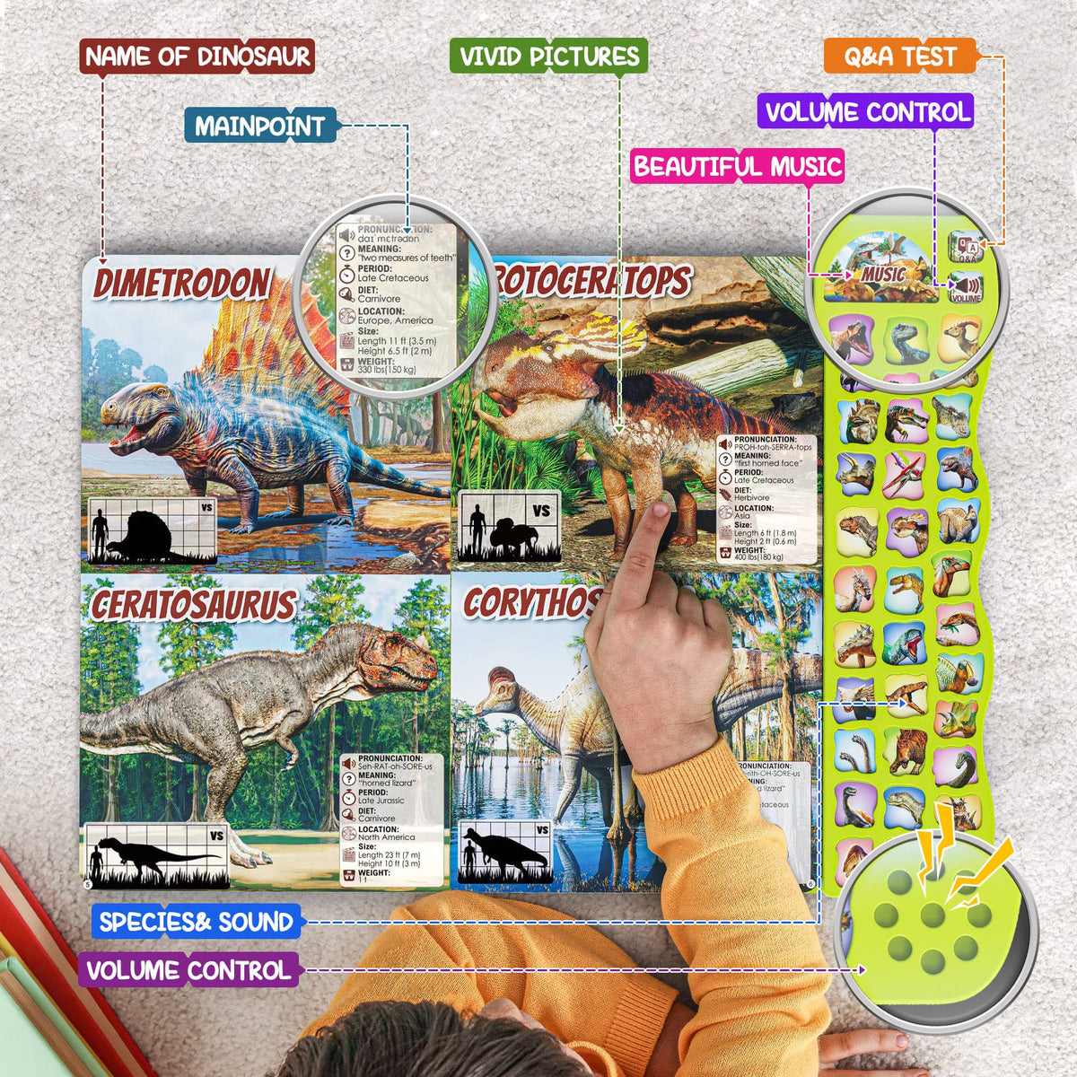 Gzsbaby Dinosaur Book with Sounds — 30 Species Names, Realistic Dino Sounds for Kids 2-7
