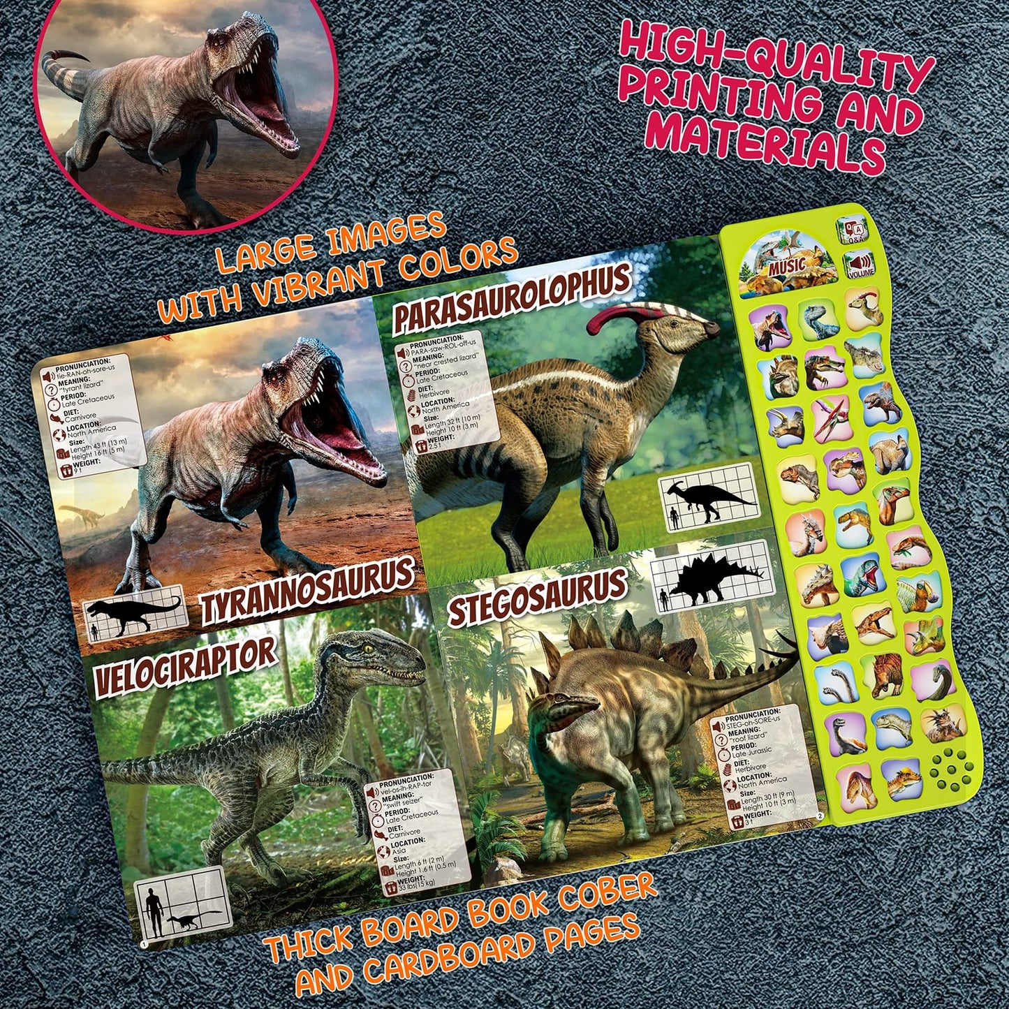 Gzsbaby Dinosaur Book with Sounds — 30 Species Names, Realistic Dino Sounds for Kids 2-7