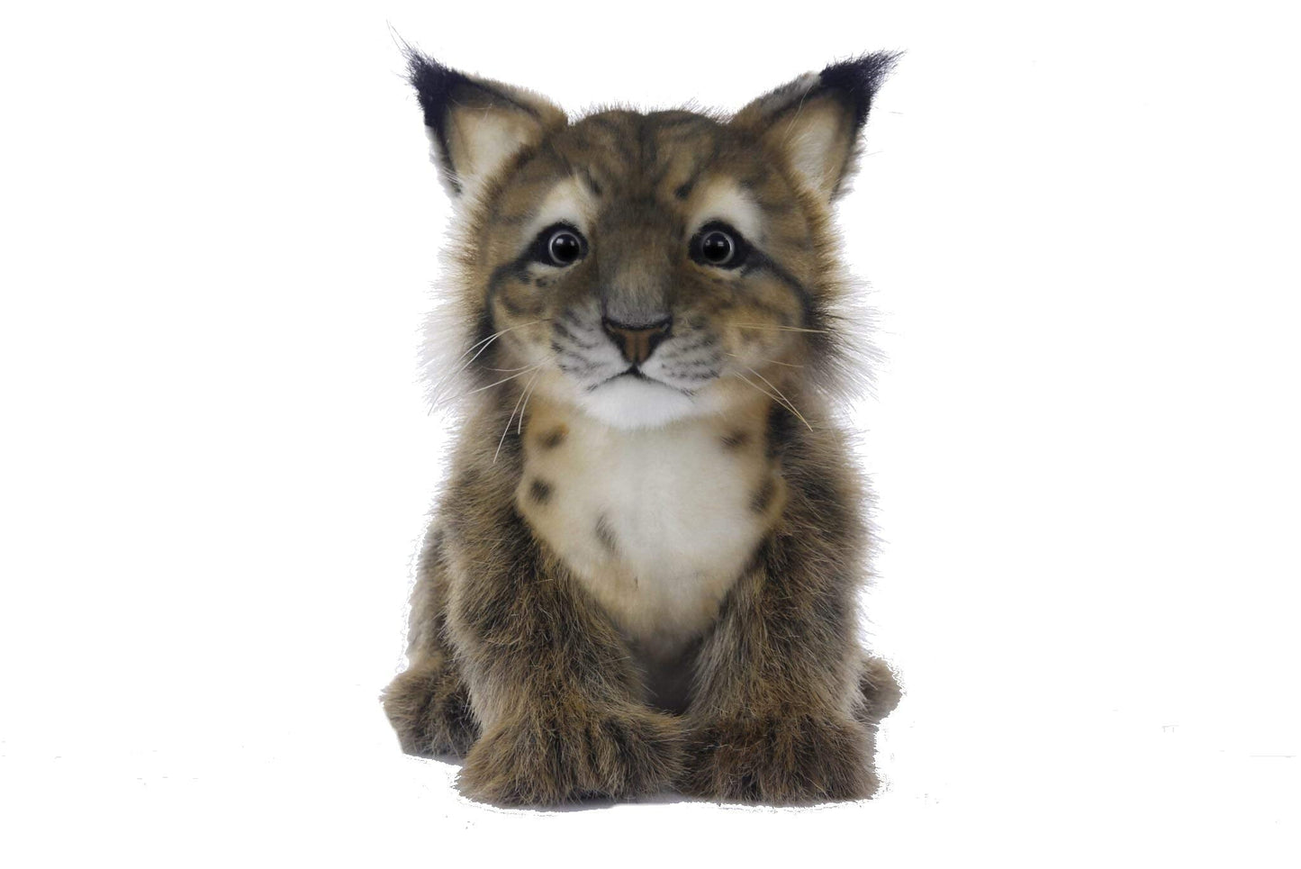 Hansa 198572 Lynx Cub Plush - Handcrafted Realistic Toy by HANSA