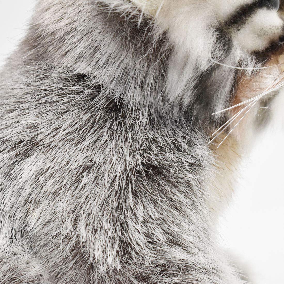 Hansa Pallas Kitten 12-Inch — Handcrafted Plush Toy by Hansa