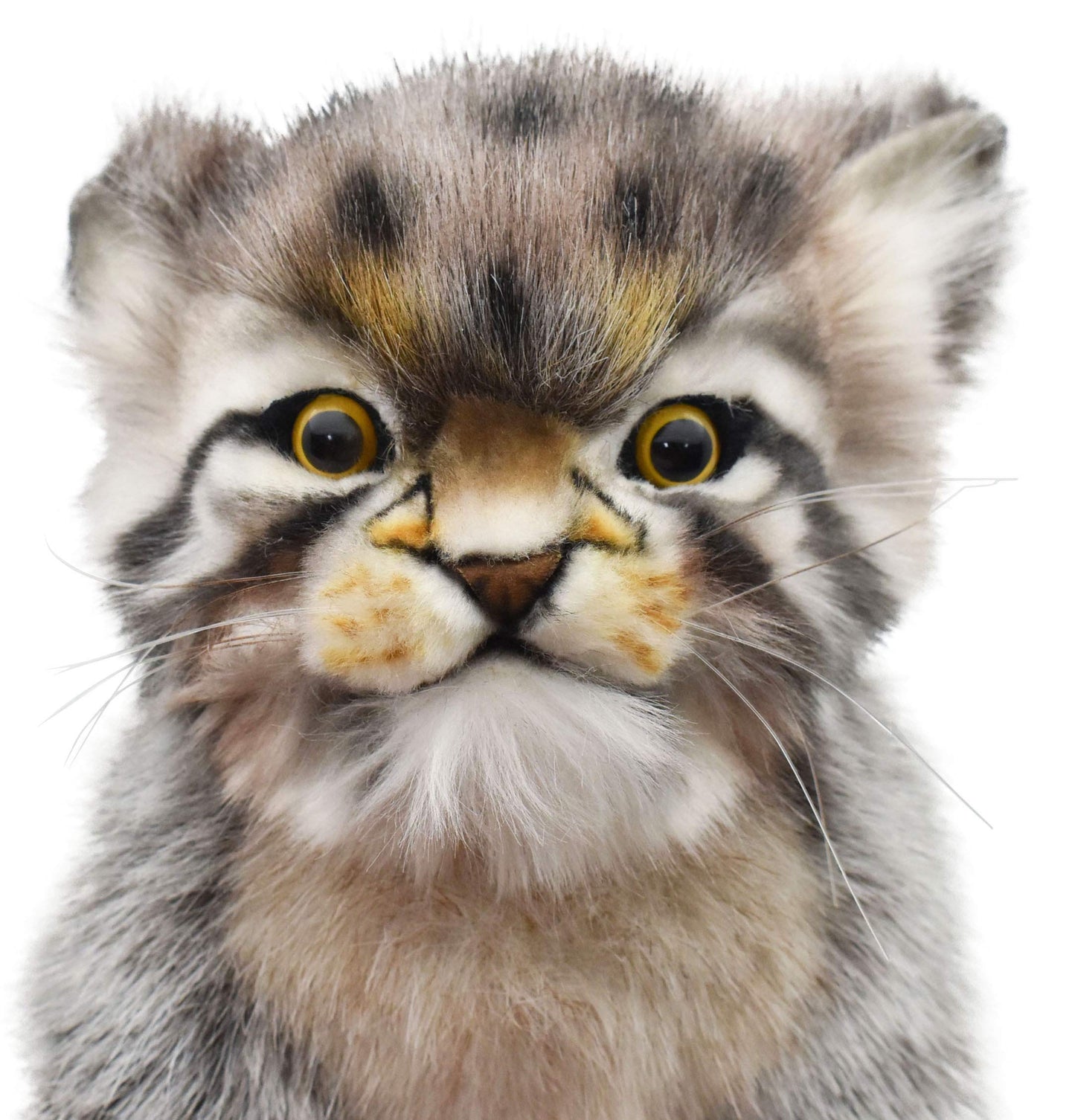 Hansa Pallas Kitten 12-Inch — Handcrafted Plush Toy by Hansa