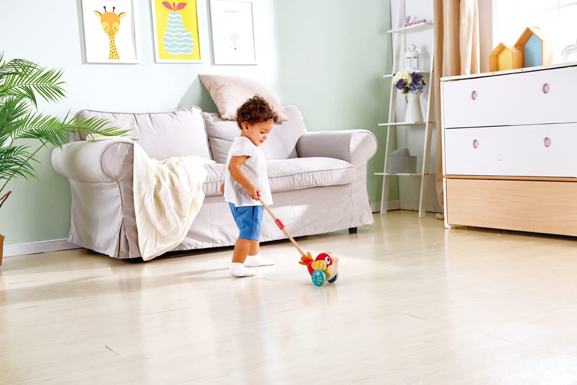 Hape Lilly Musical Push Along Bird — Wooden Toddler Walker with Detachable Stick