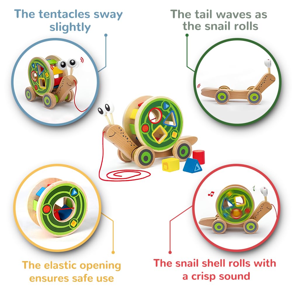 Hape Walk-A-Long Snail Pull Toy – Award-Winning Wooden Push-Pull for Toddlers