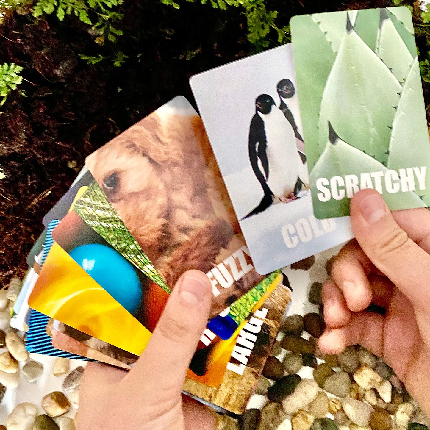 Hapinest Find and Seek Scavenger Hunt Card Game – Indoor & Outdoor Fun for Kids 3+