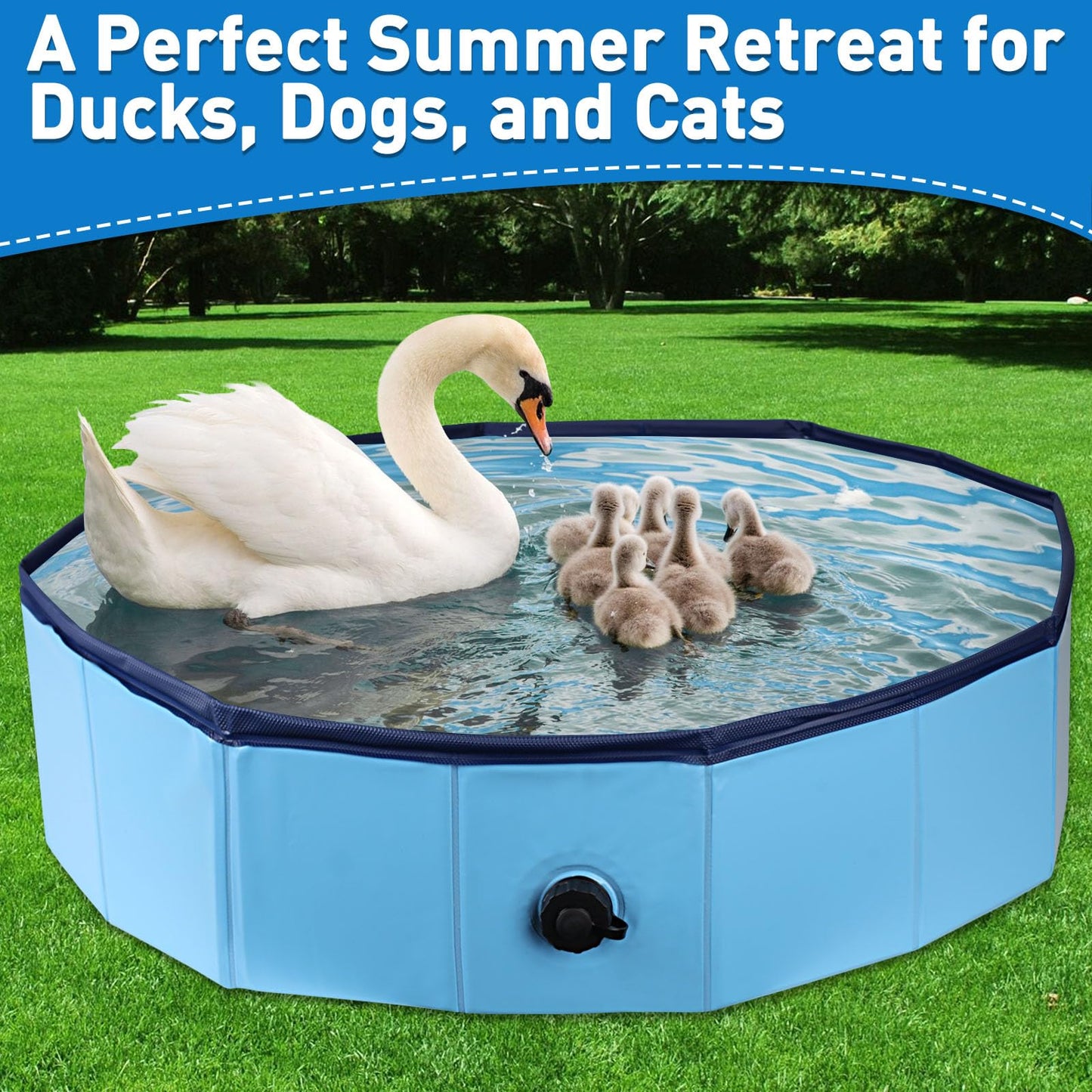 Hdnbsp Foldable Duck Pool – Portable, Collapsible Hard Plastic Duck Pond for Pets