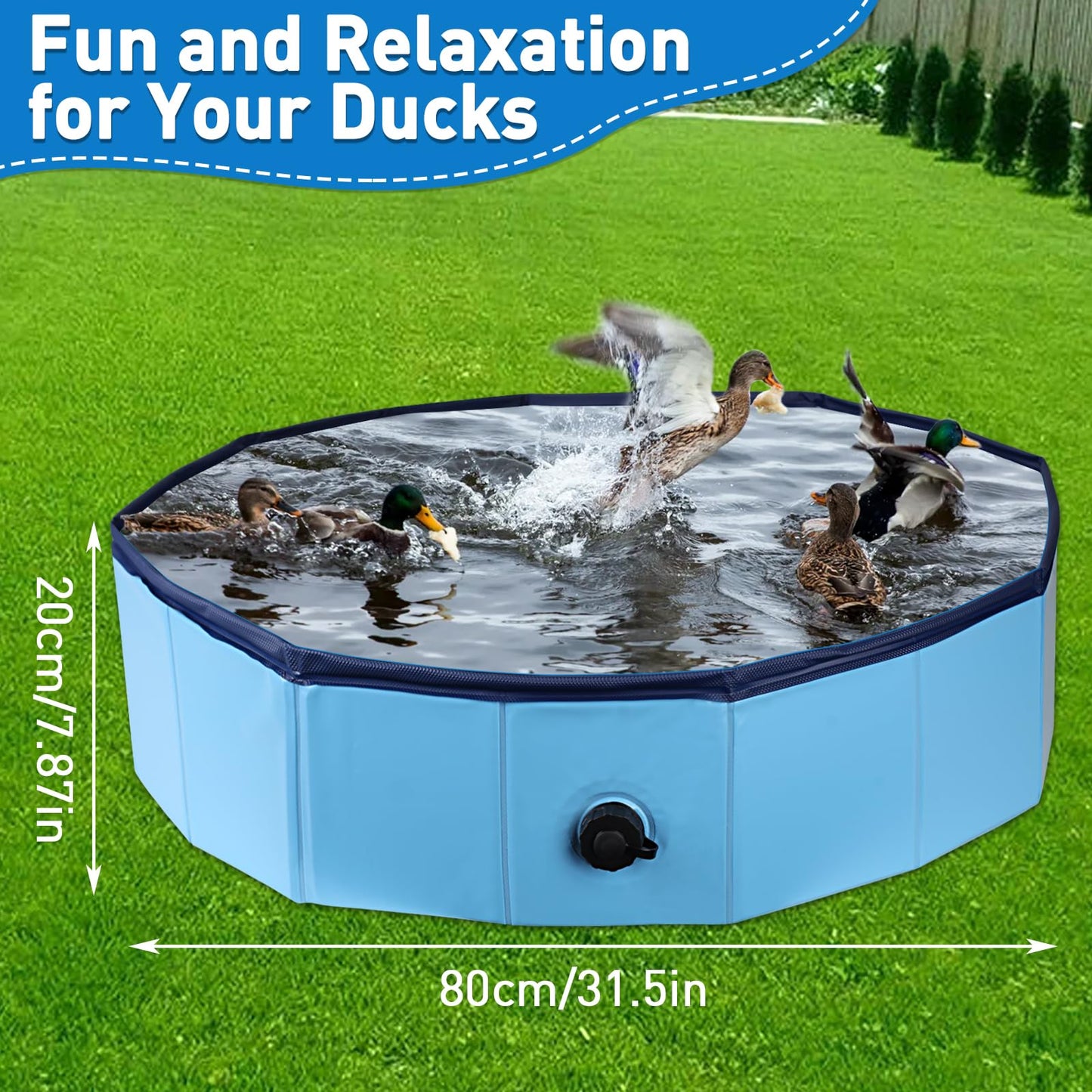 Hdnbsp Foldable Duck Pool – Portable, Collapsible Hard Plastic Duck Pond for Pets