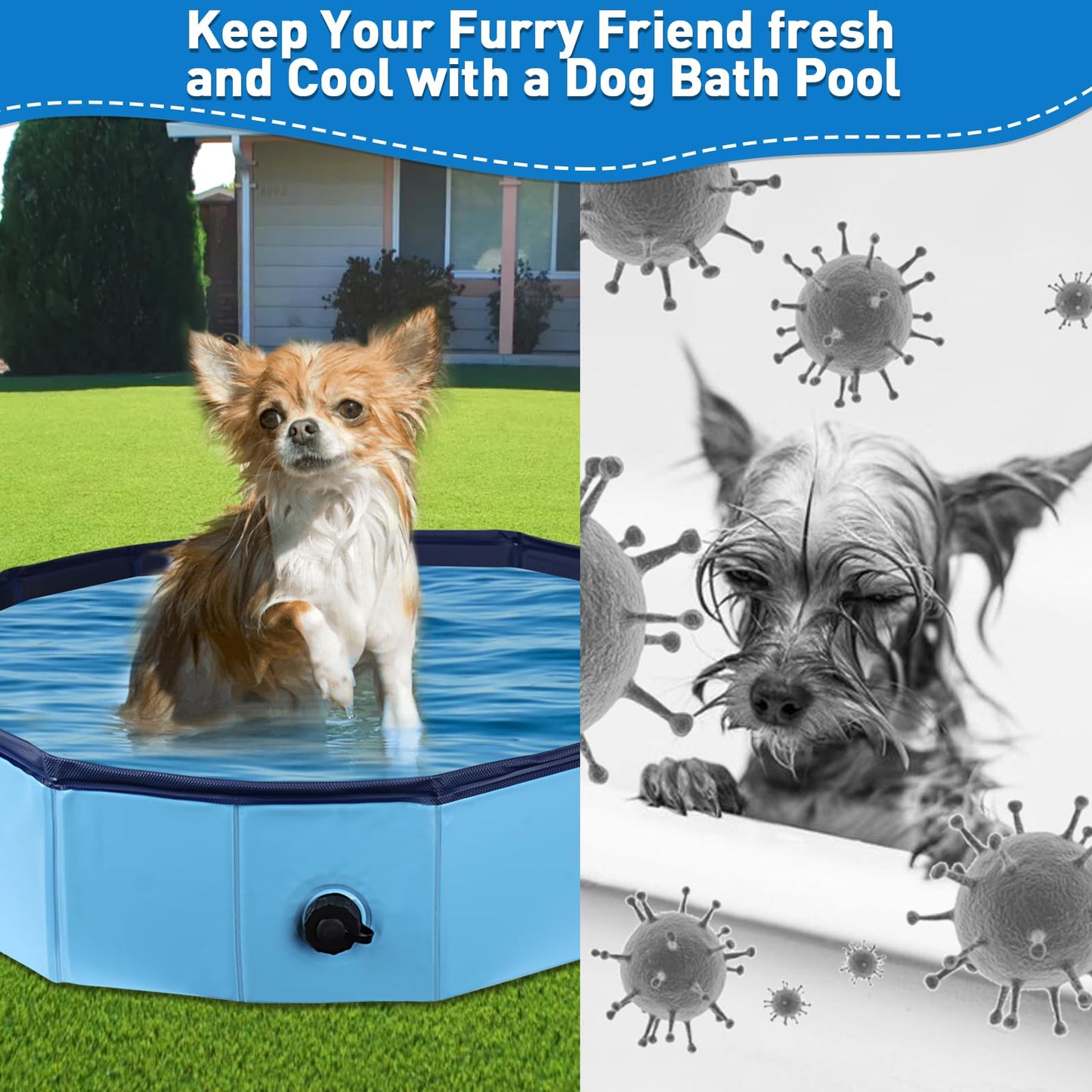 Hdnbsp Foldable Duck Pool – Portable, Collapsible Hard Plastic Duck Pond for Pets