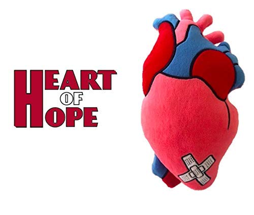 Heart of Hope Zymise TANGDIAABBCC Plush Anatomical Heart Pillow - 12'' Tall, Huggable Chest Support