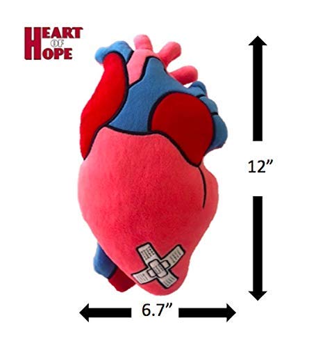 Heart of Hope Zymise TANGDIAABBCC Plush Anatomical Heart Pillow - 12'' Tall, Huggable Chest Support