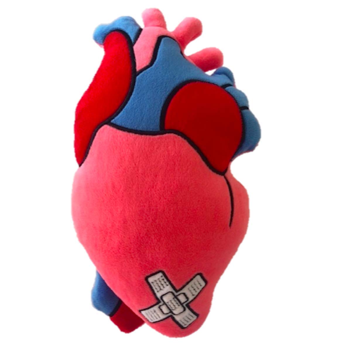 Heart of Hope Zymise TANGDIAABBCC Plush Anatomical Heart Pillow - 12'' Tall, Huggable Chest Support