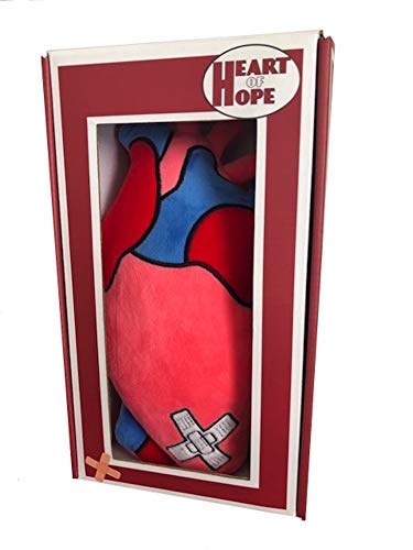 Heart of Hope Zymise TANGDIAABBCC Plush Anatomical Heart Pillow - 12'' Tall, Huggable Chest Support