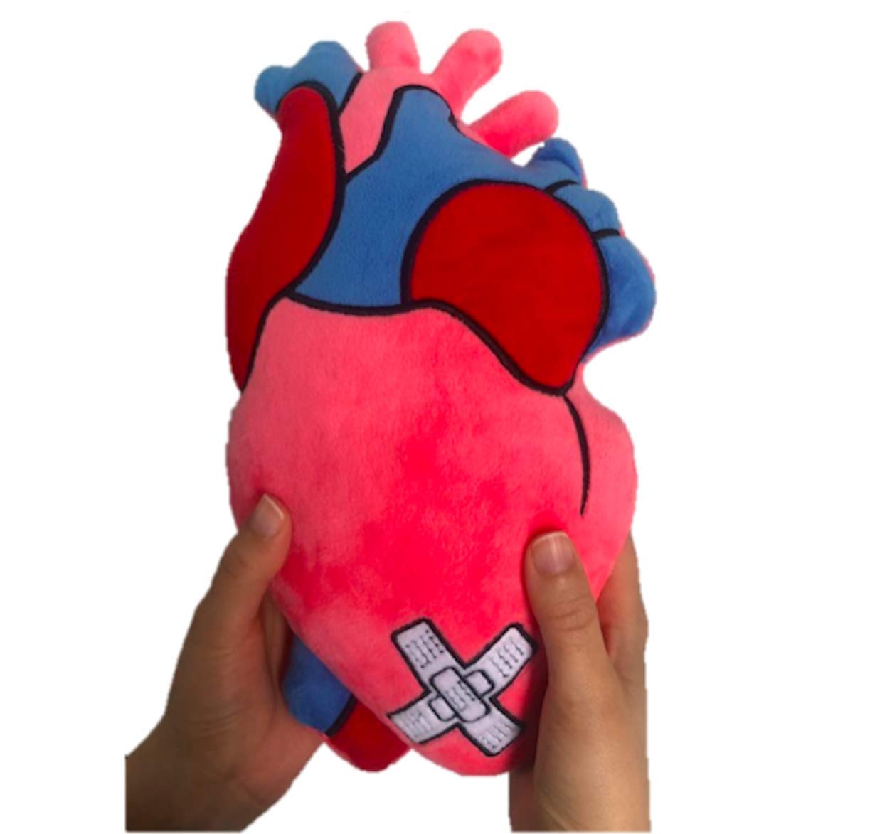 Heart of Hope Zymise TANGDIAABBCC Plush Anatomical Heart Pillow - 12'' Tall, Huggable Chest Support