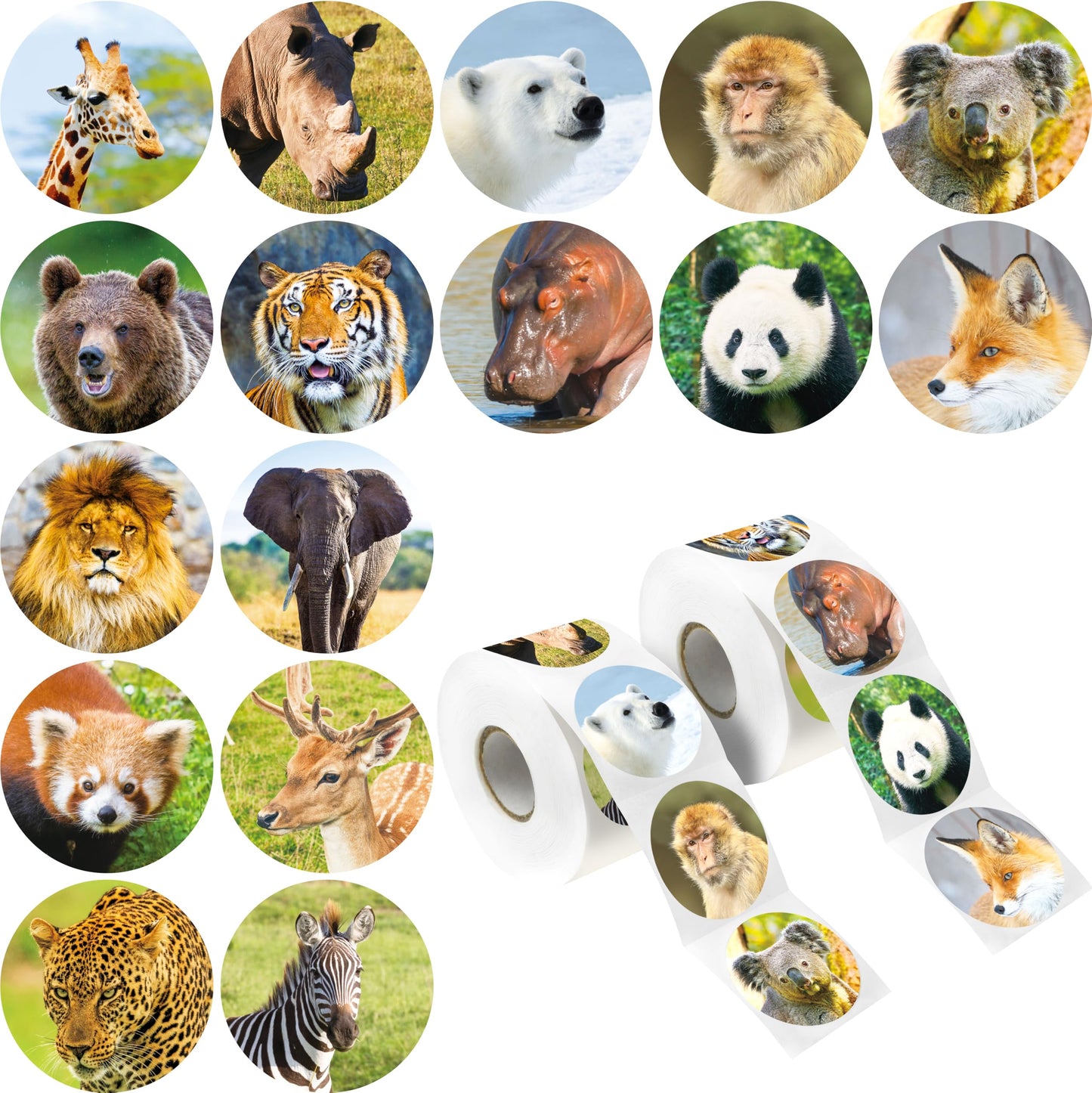 Hebayy 600Pcs Realistic Jungle Animal Stickers – 16 Designs, Perforated 2-Roll Pack