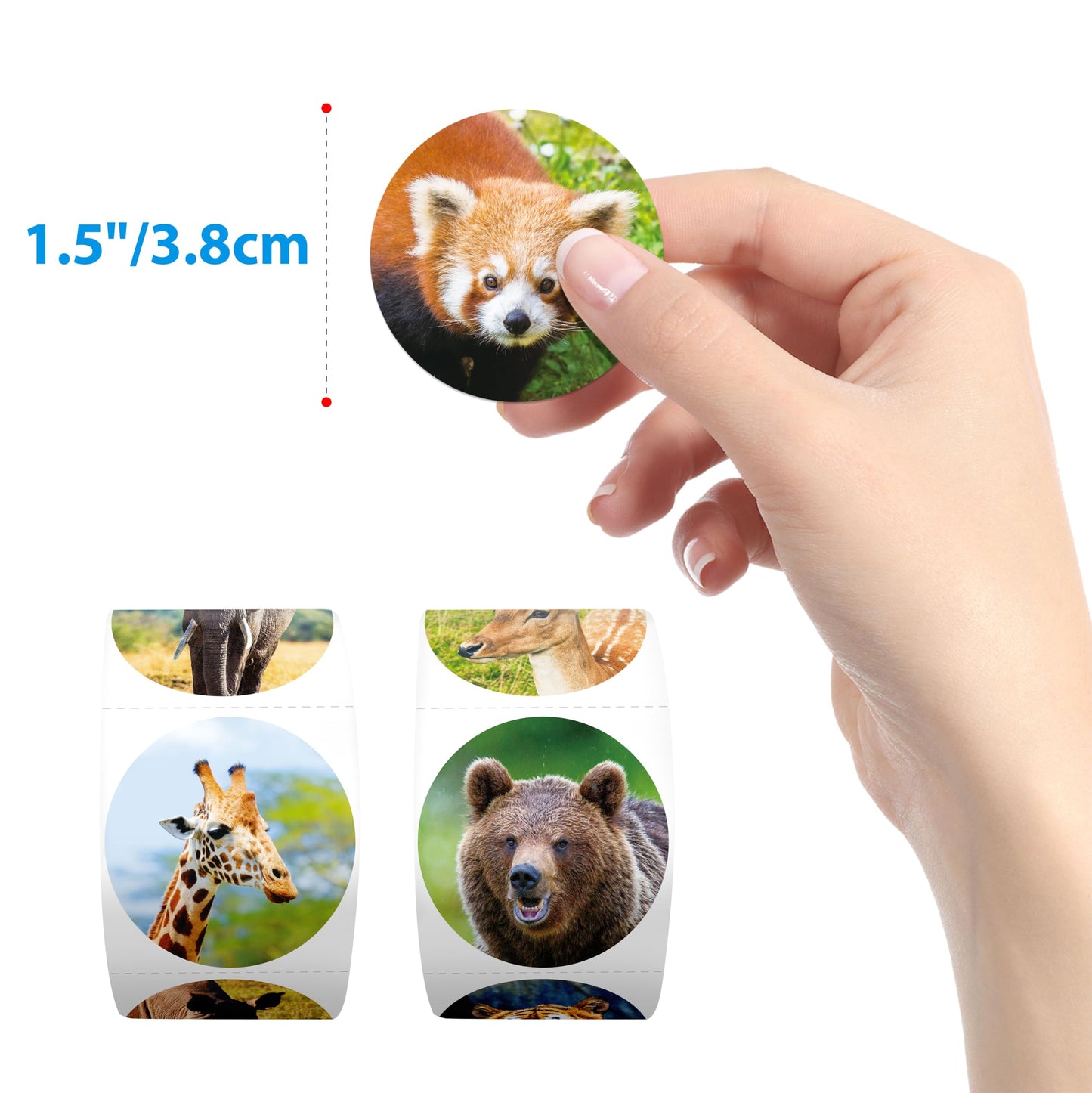 Hebayy 600Pcs Realistic Jungle Animal Stickers – 16 Designs, Perforated 2-Roll Pack