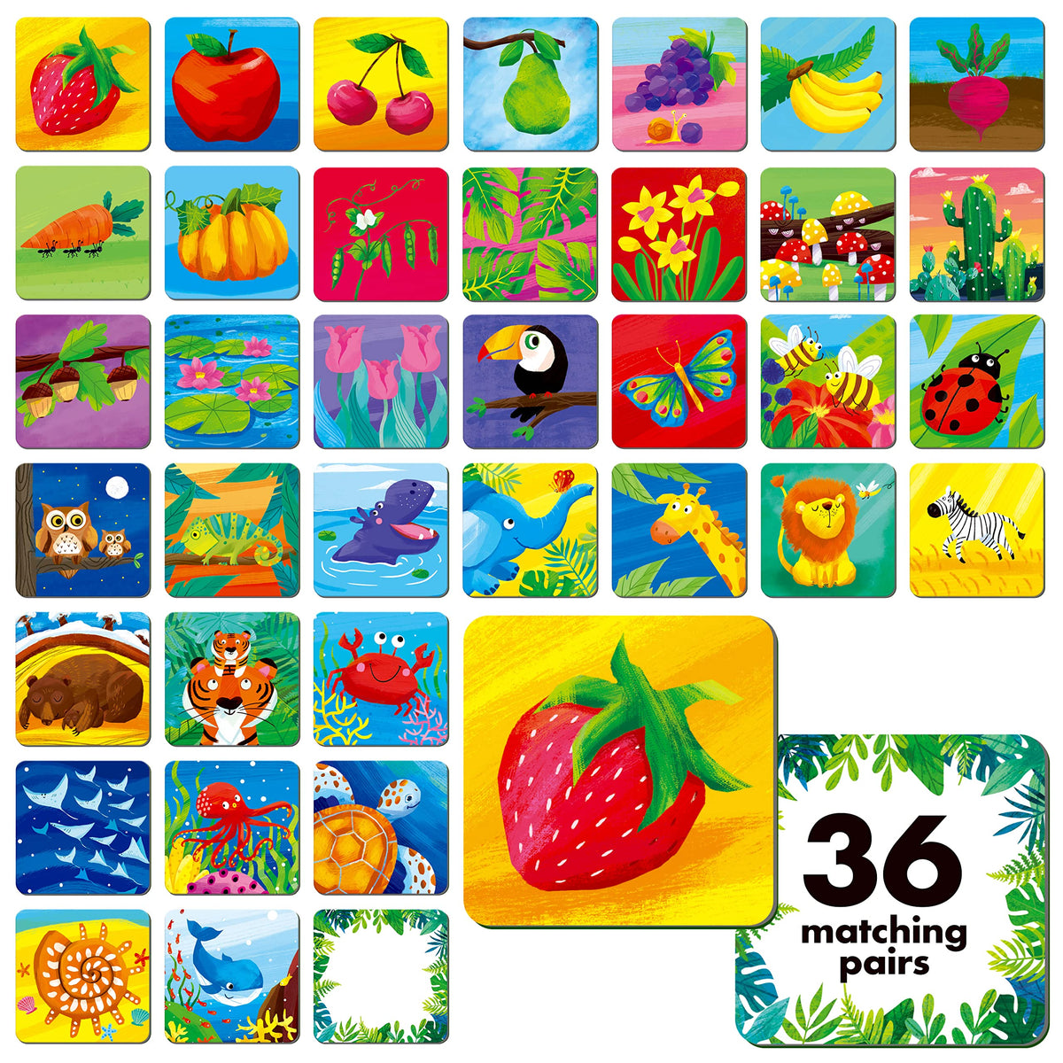 Hebayy Memory Matching Game – 72 Nature-Themed Cards (36 Pairs) for Toddlers
