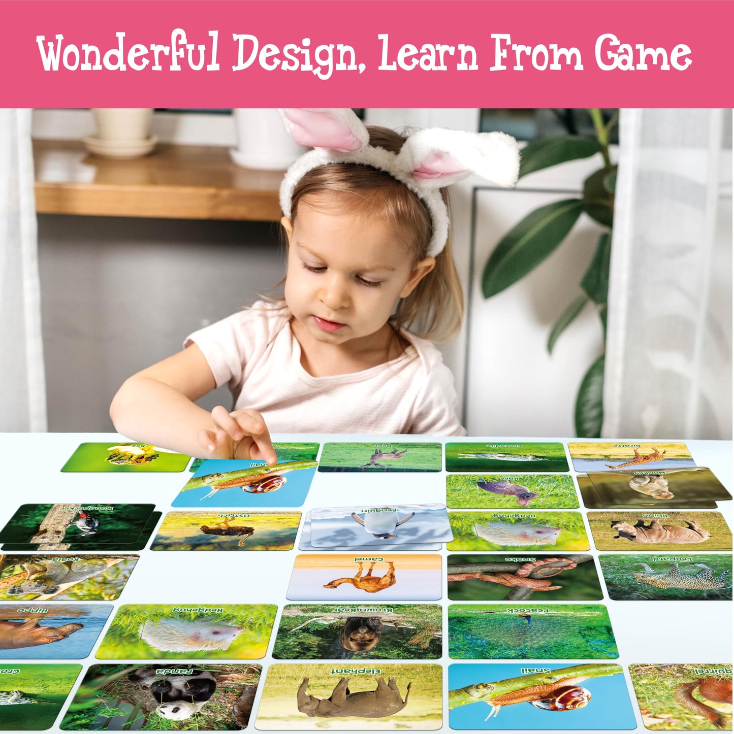 Hebayy Wild Animal Matching Game – 80 Realistic Cards for Toddlers & Preschoolers