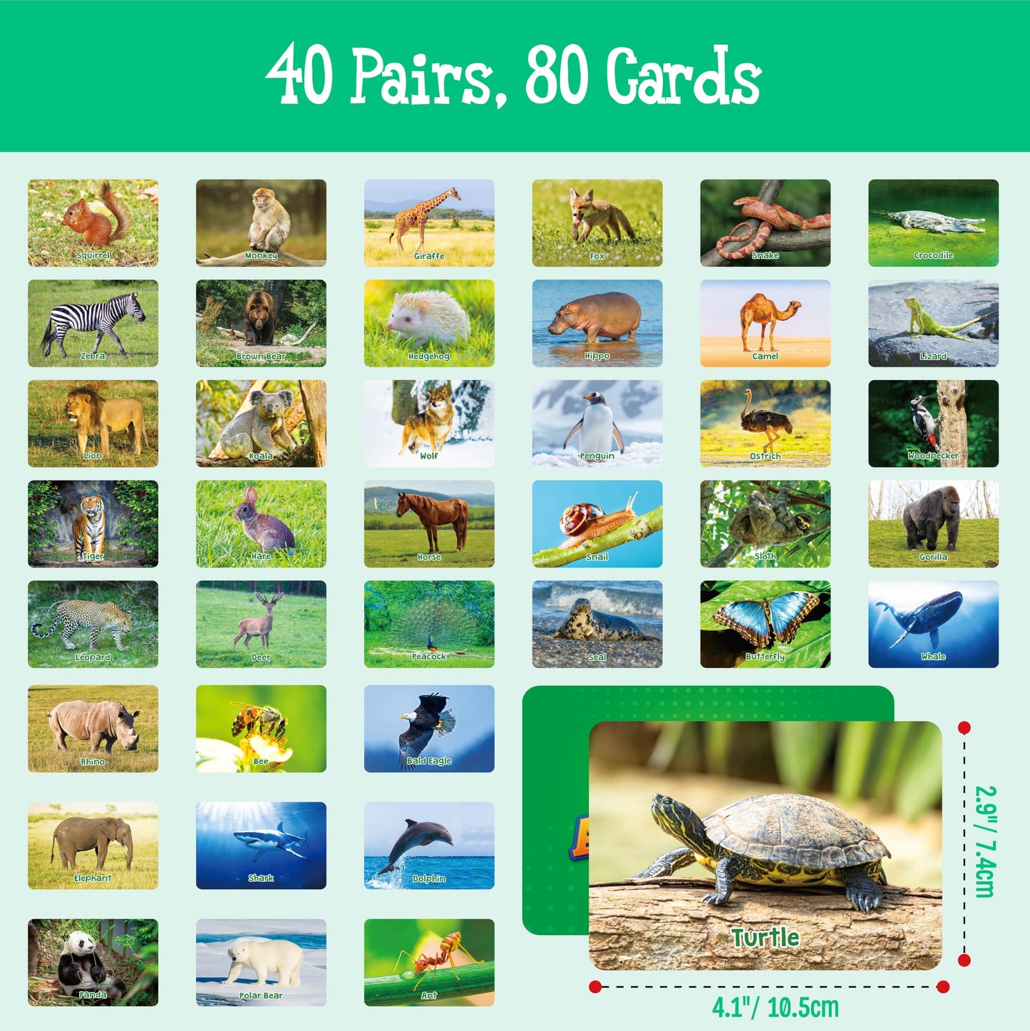 Hebayy Wild Animal Matching Game – 80 Realistic Cards for Toddlers & Preschoolers