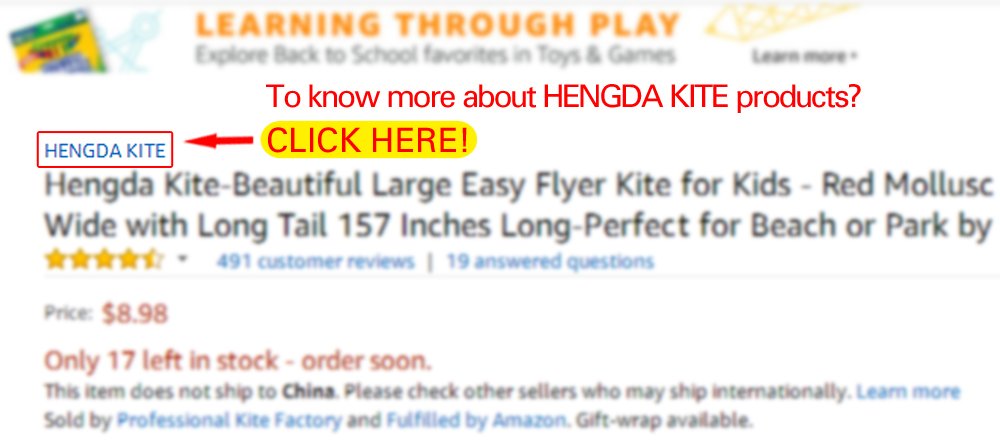 HENGDA KITE Octopus Flyer — 31-Inch Wide Kite with Long Colorful Tail for Kids