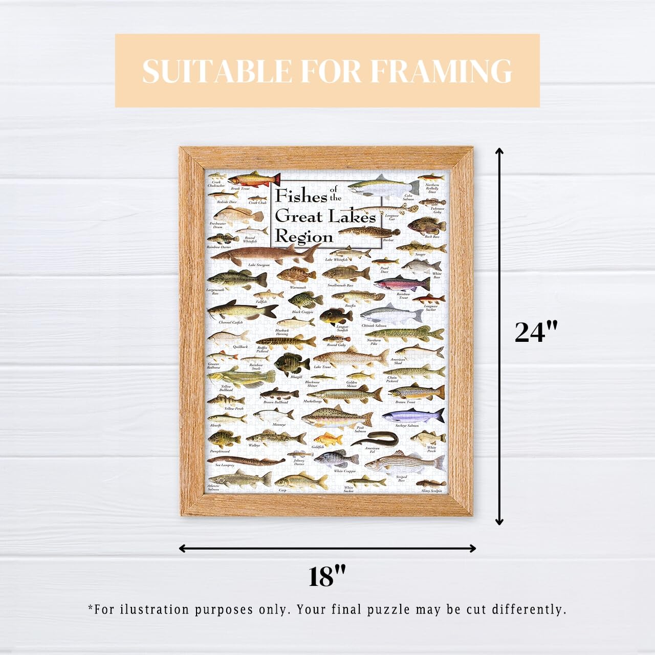 Heritage Puzzle Inc. Fishes of the Great Lakes – 550-Piece Jigsaw for Adults, Frameable 18x24