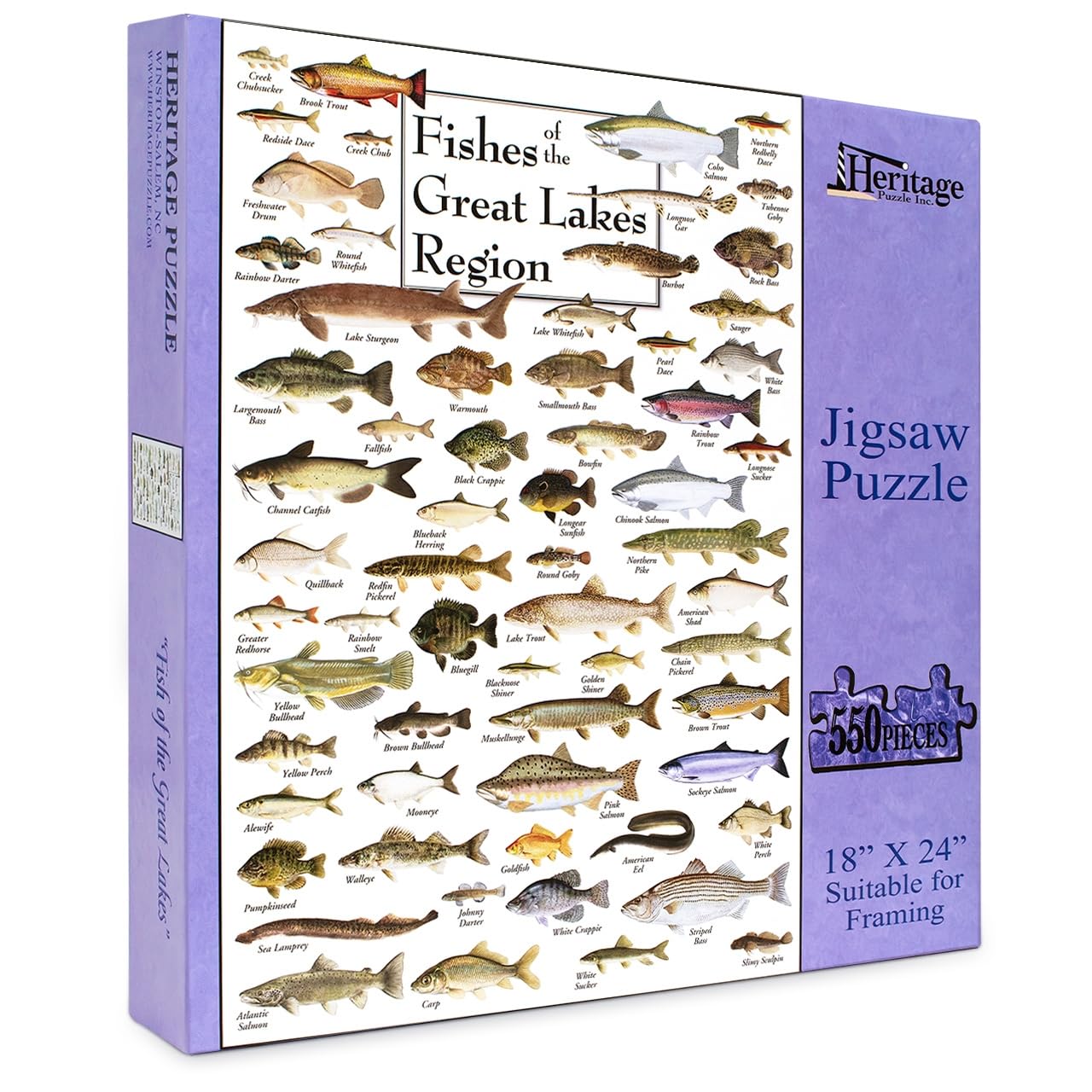 Heritage Puzzle Inc. Fishes of the Great Lakes – 550-Piece Jigsaw for Adults, Frameable 18x24
