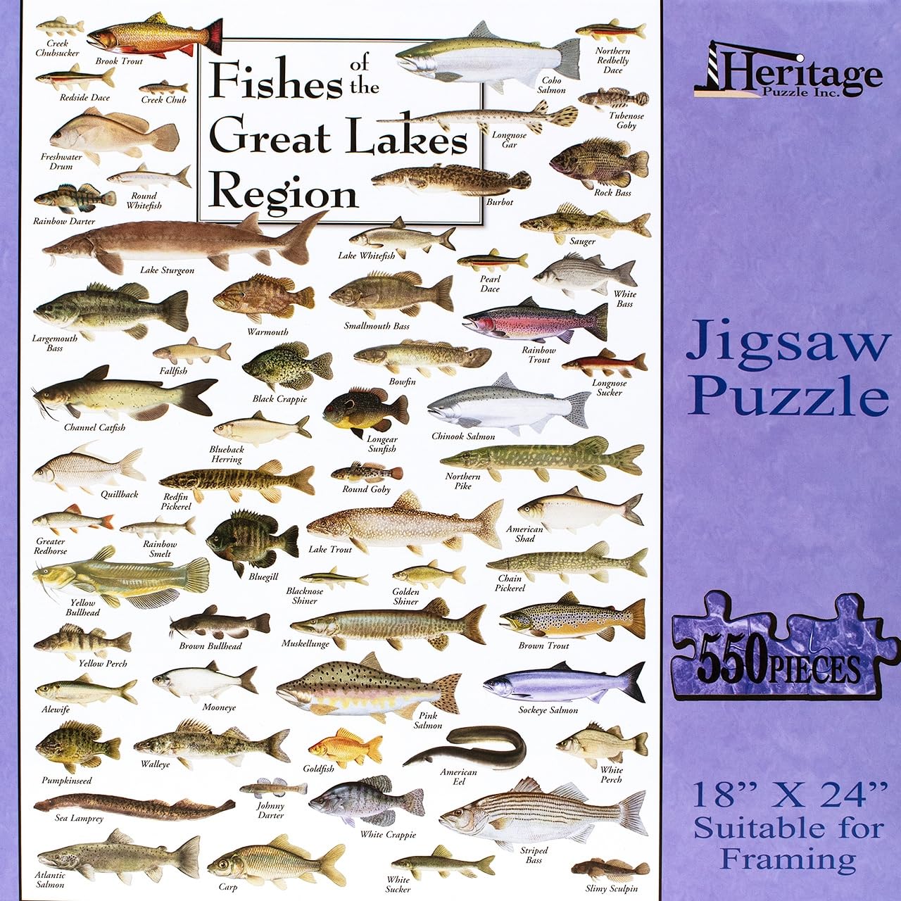 Heritage Puzzle Inc. Fishes of the Great Lakes – 550-Piece Jigsaw for Adults, Frameable 18x24