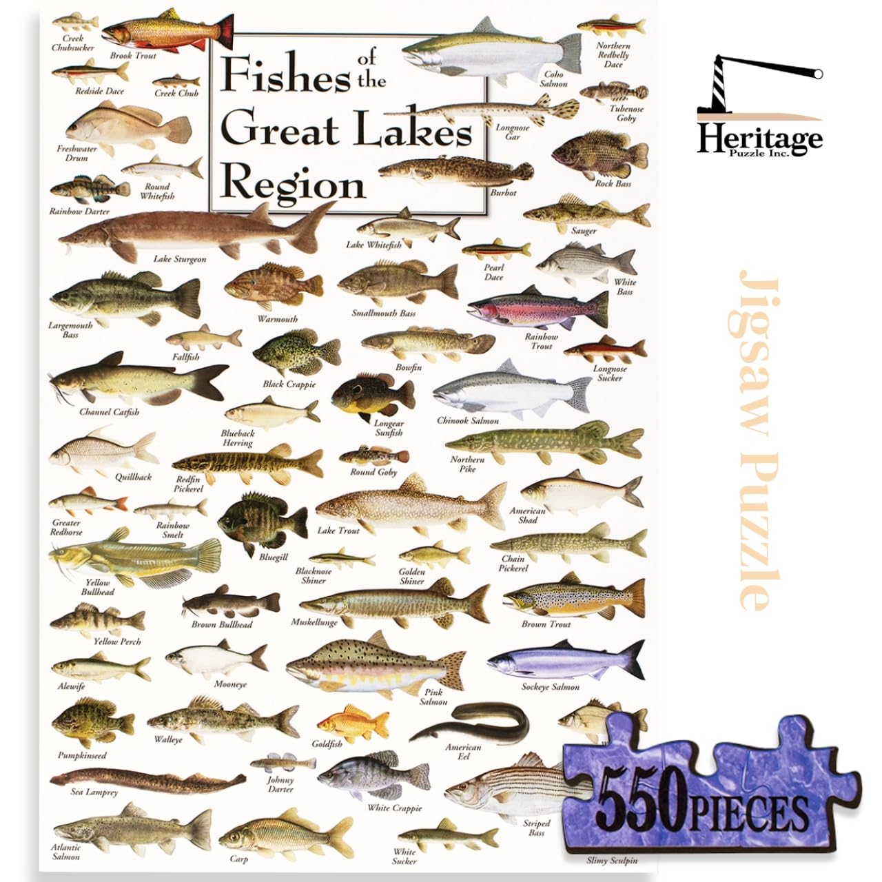 Heritage Puzzle Inc. Fishes of the Great Lakes – 550-Piece Jigsaw for Adults, Frameable 18x24