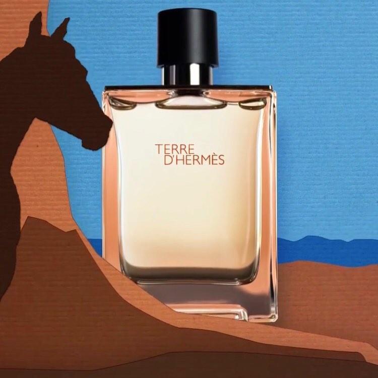 Hermes Terre d'Hermes Eau de Toilette 50ml Spray