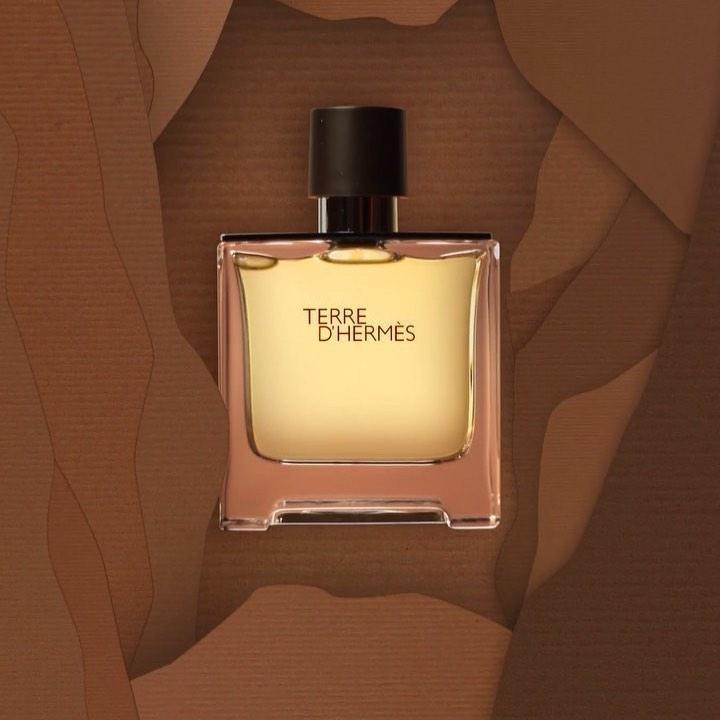 Hermes Terre d'Hermes Eau de Toilette 100ml Spray